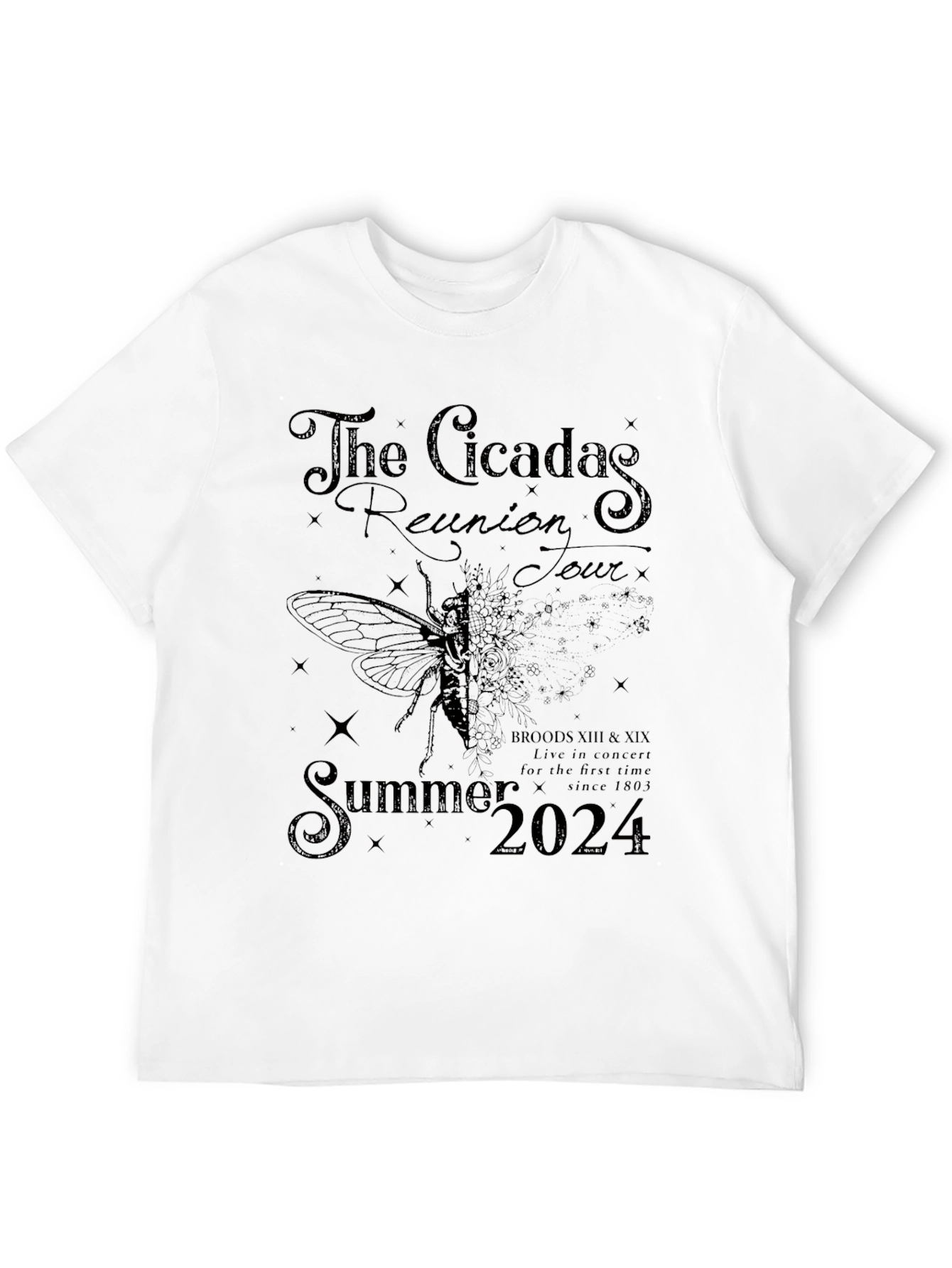 The Cicadas Reunion Tour Summer 2024 T-Shirt