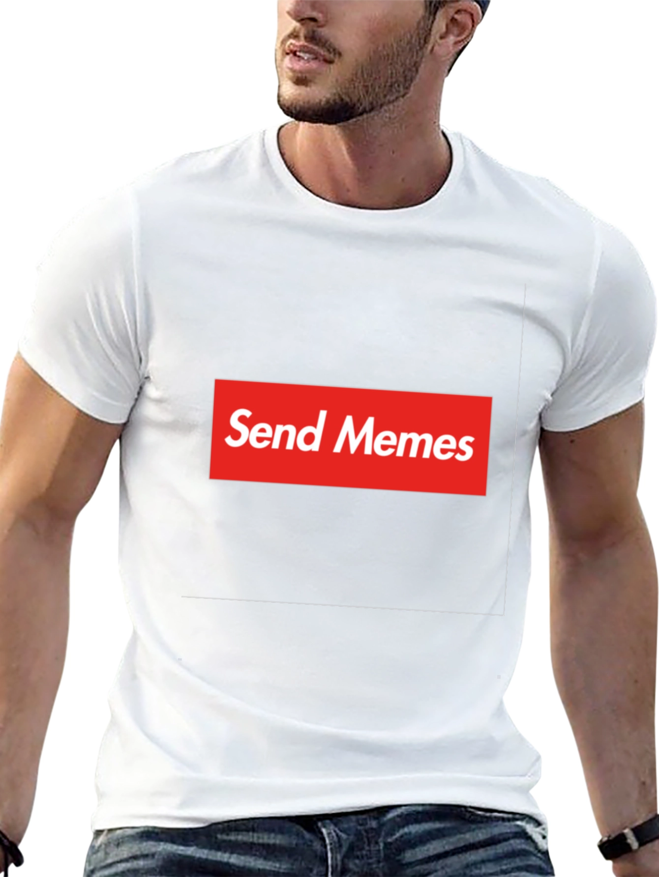 Send Memes Graphic Tee - Supreme Parody