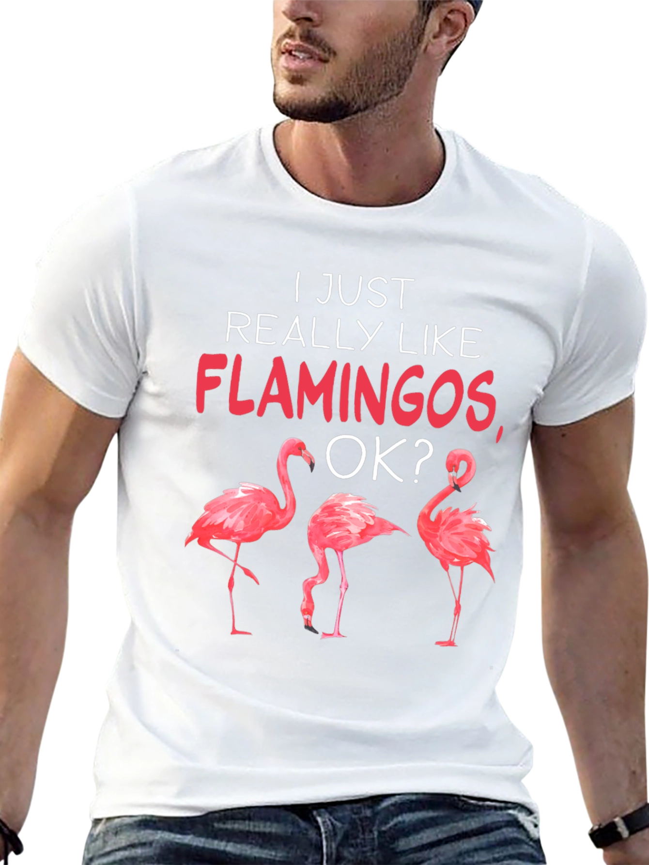 Flamingo Graphic Tee - I Just Really Like Flamingos