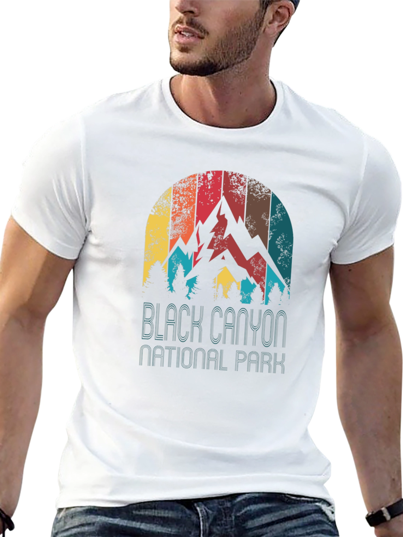 Black Canyon National Park Retro Graphic Tee