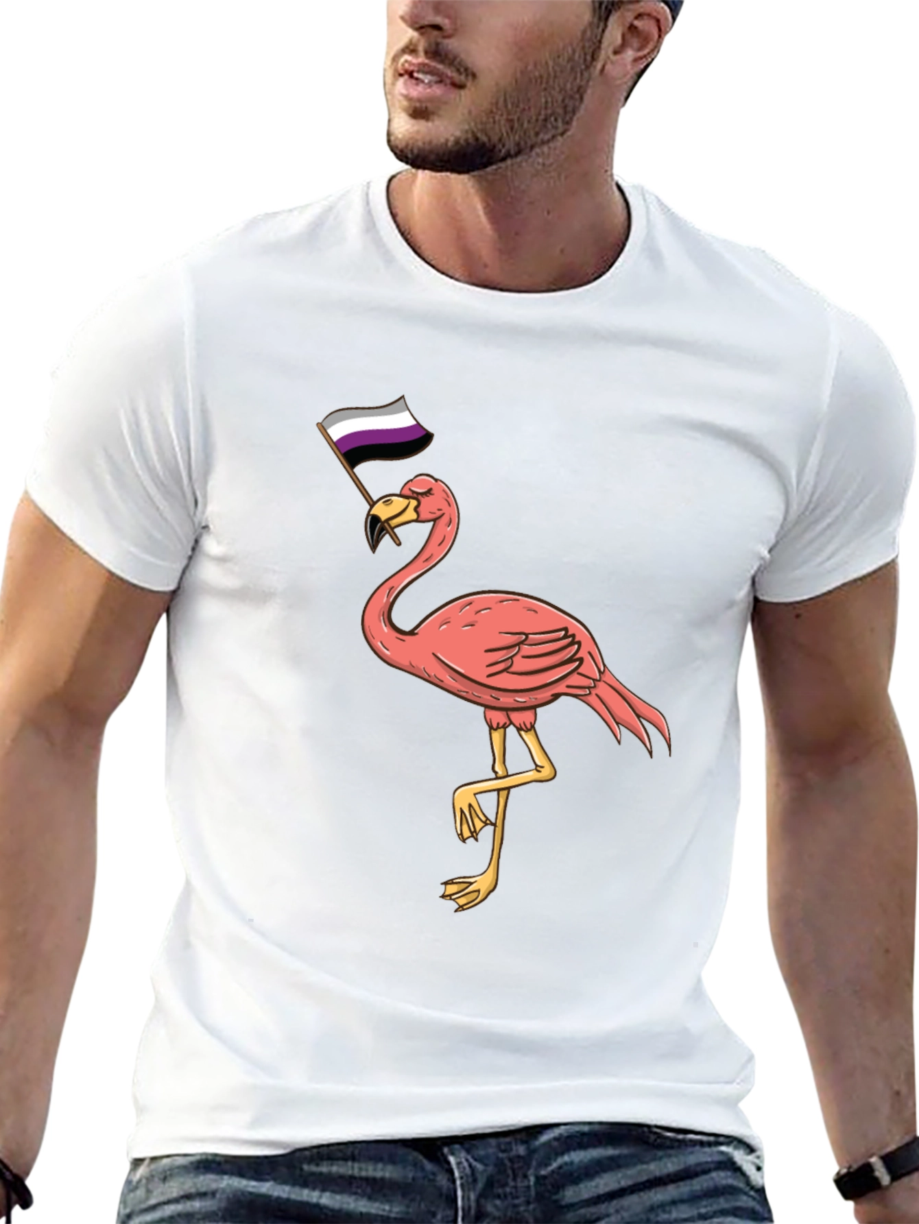 Asexual Pride Flamingo T-Shirt