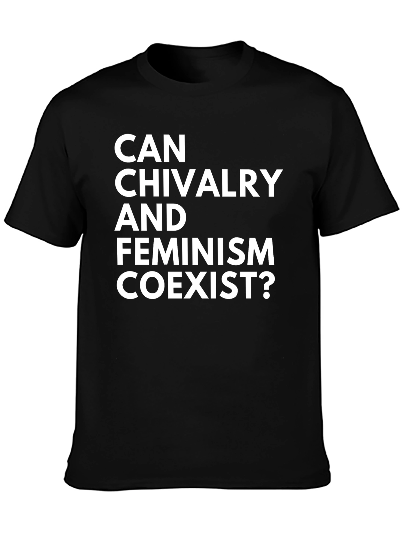 Can Chivalry and Feminism Coexist? T-Shirt