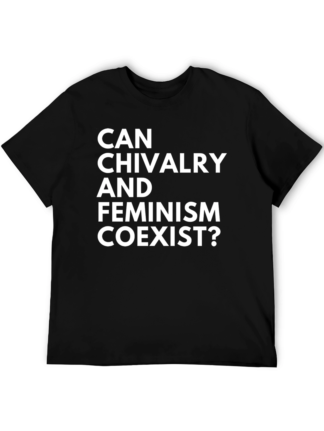 Can Chivalry and Feminism Coexist? T-Shirt