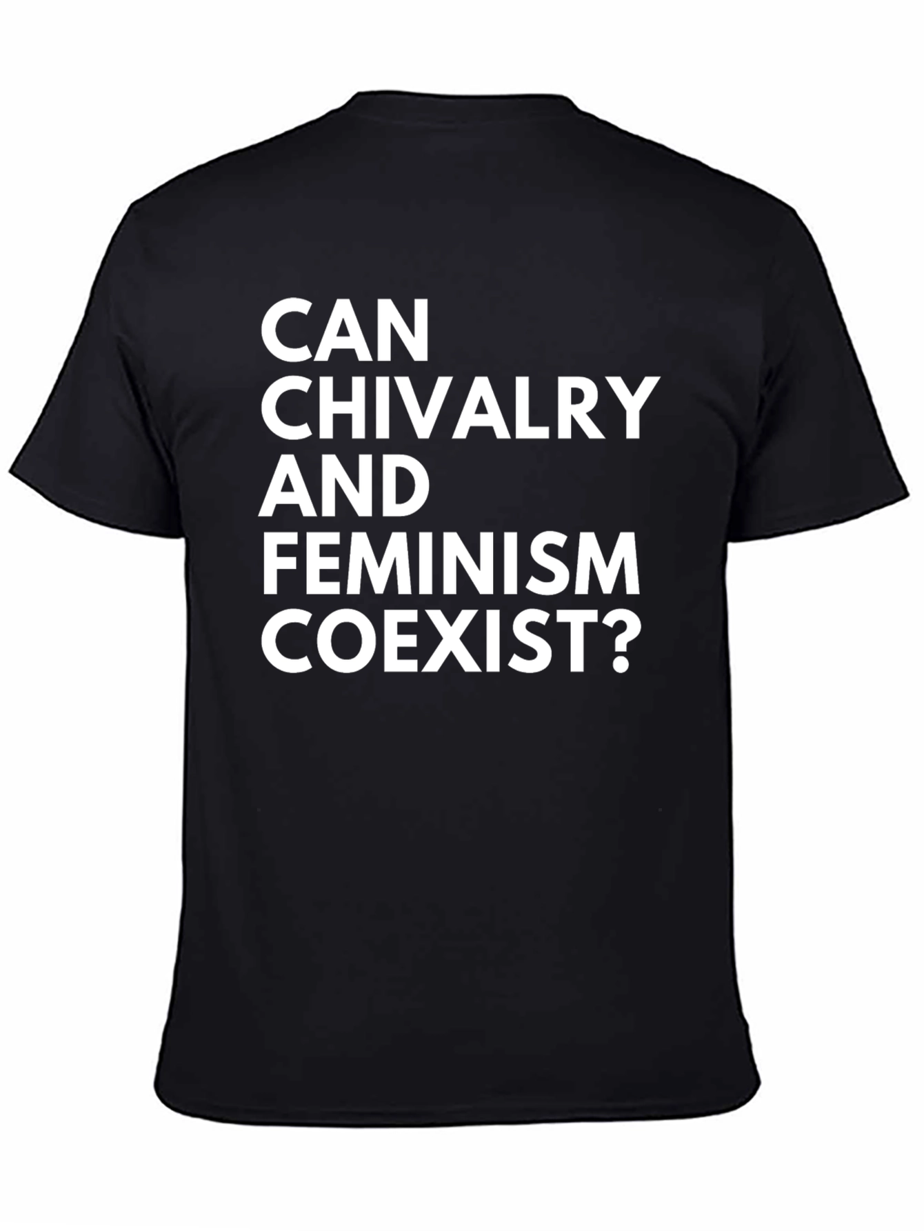 Can Chivalry and Feminism Coexist? T-Shirt