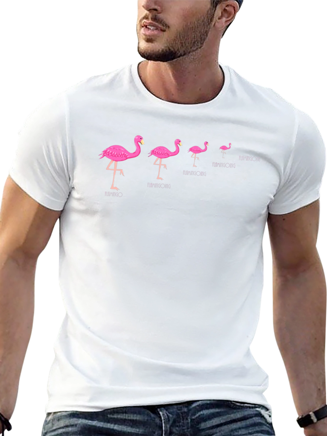 Flamingo Evolution Black T-Shirt