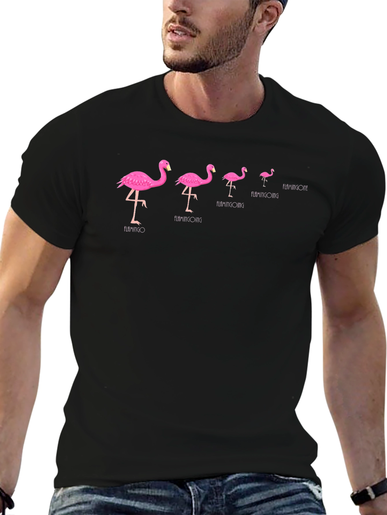 Flamingo Evolution Black T-Shirt