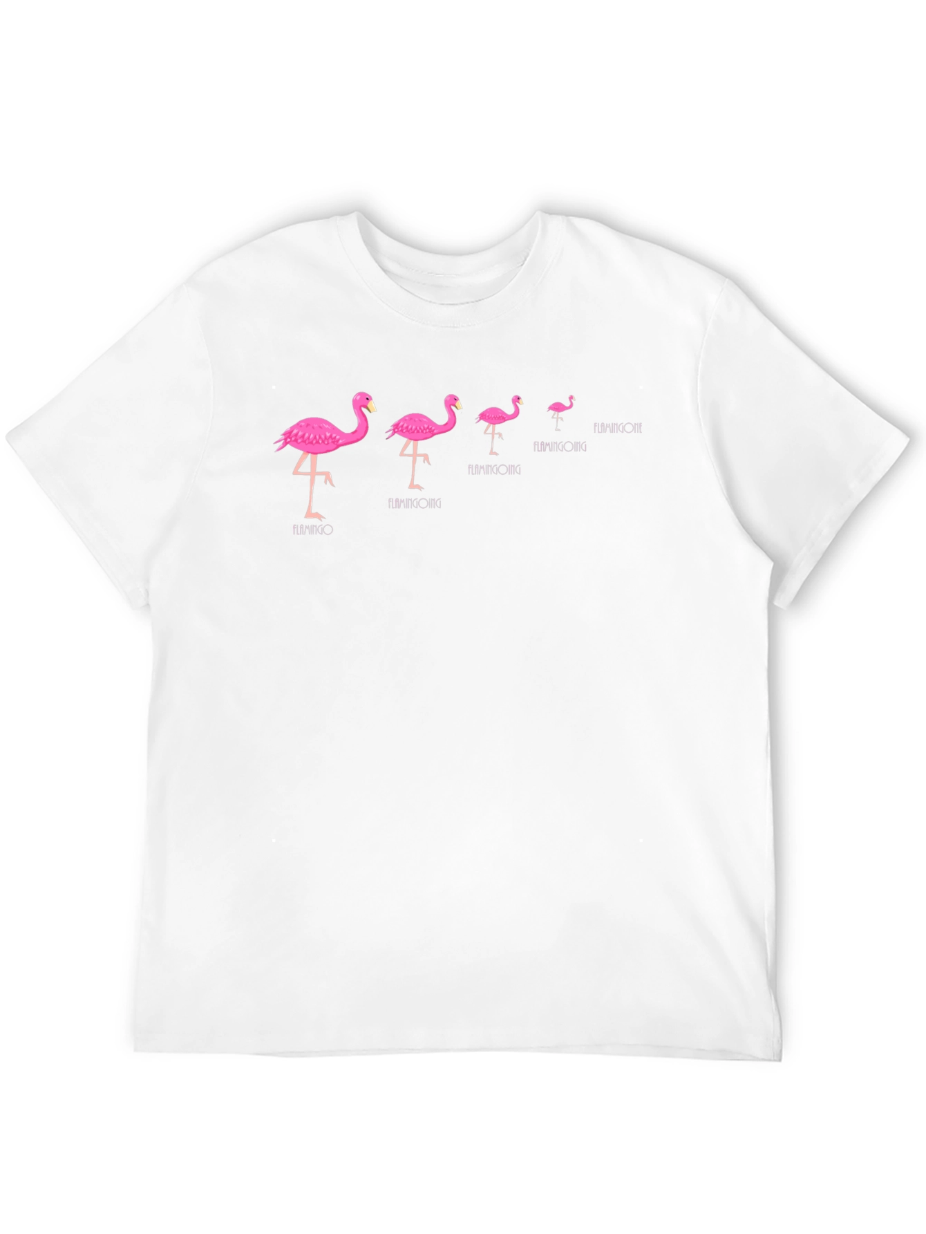 Flamingo Evolution Black T-Shirt