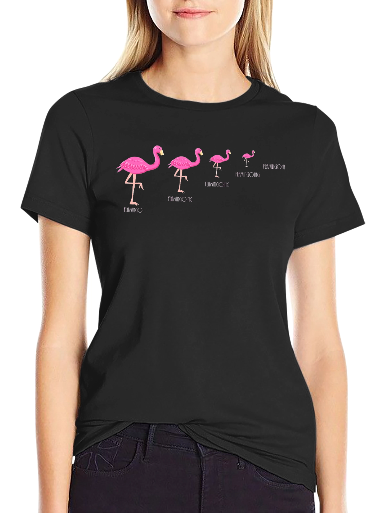 Flamingo Evolution Black T-Shirt