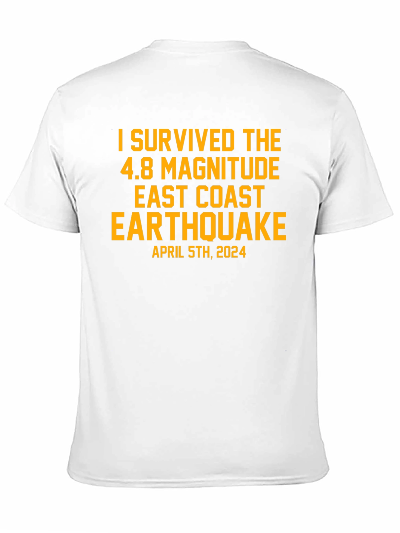 I Survived East Coast Earthquake April 5th 2024 T-Shirt