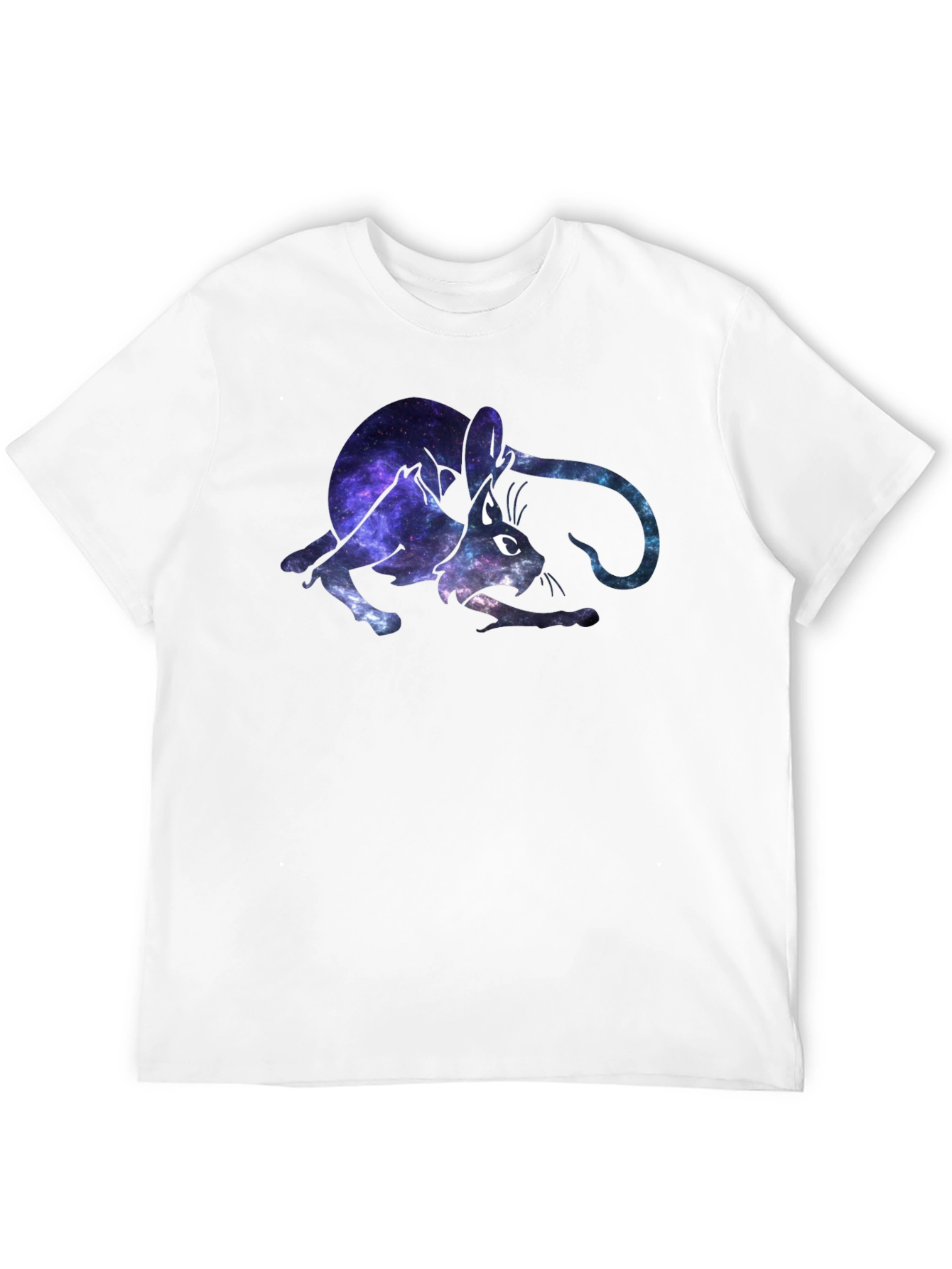 Galaxy Cat Graphic Black T-Shirt