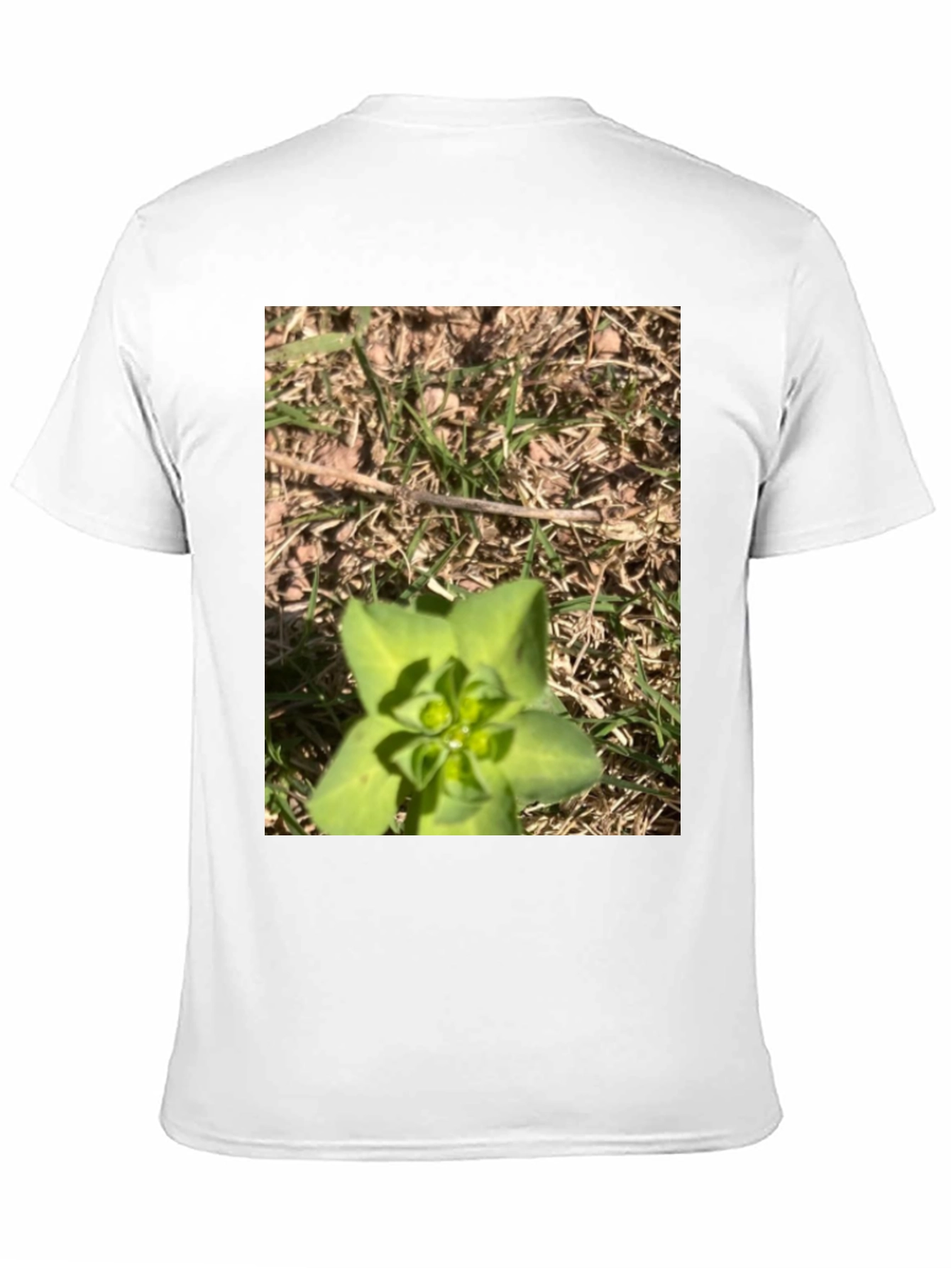 Nature-Inspired Graphic Tee