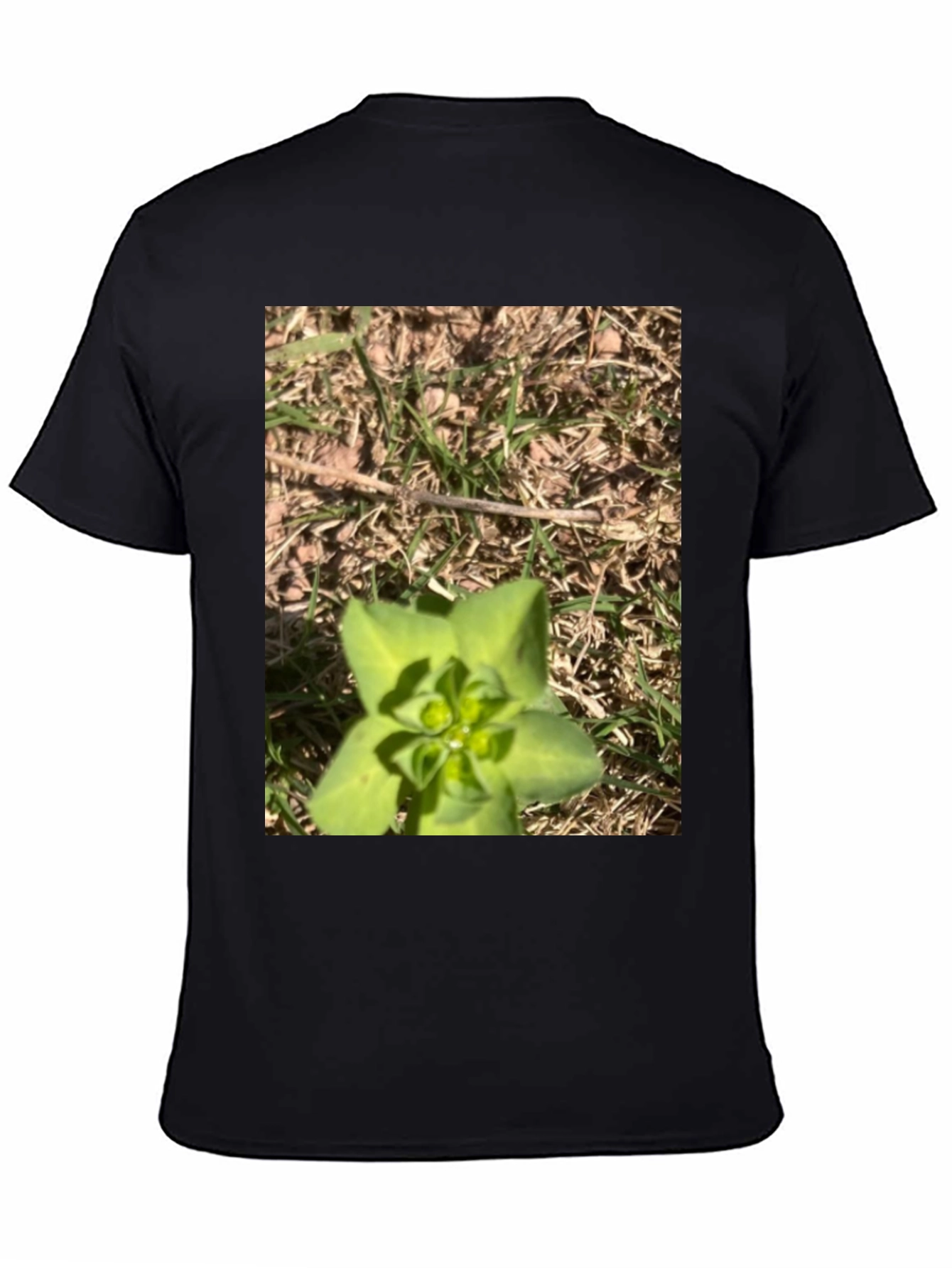 Nature-Inspired Graphic Tee