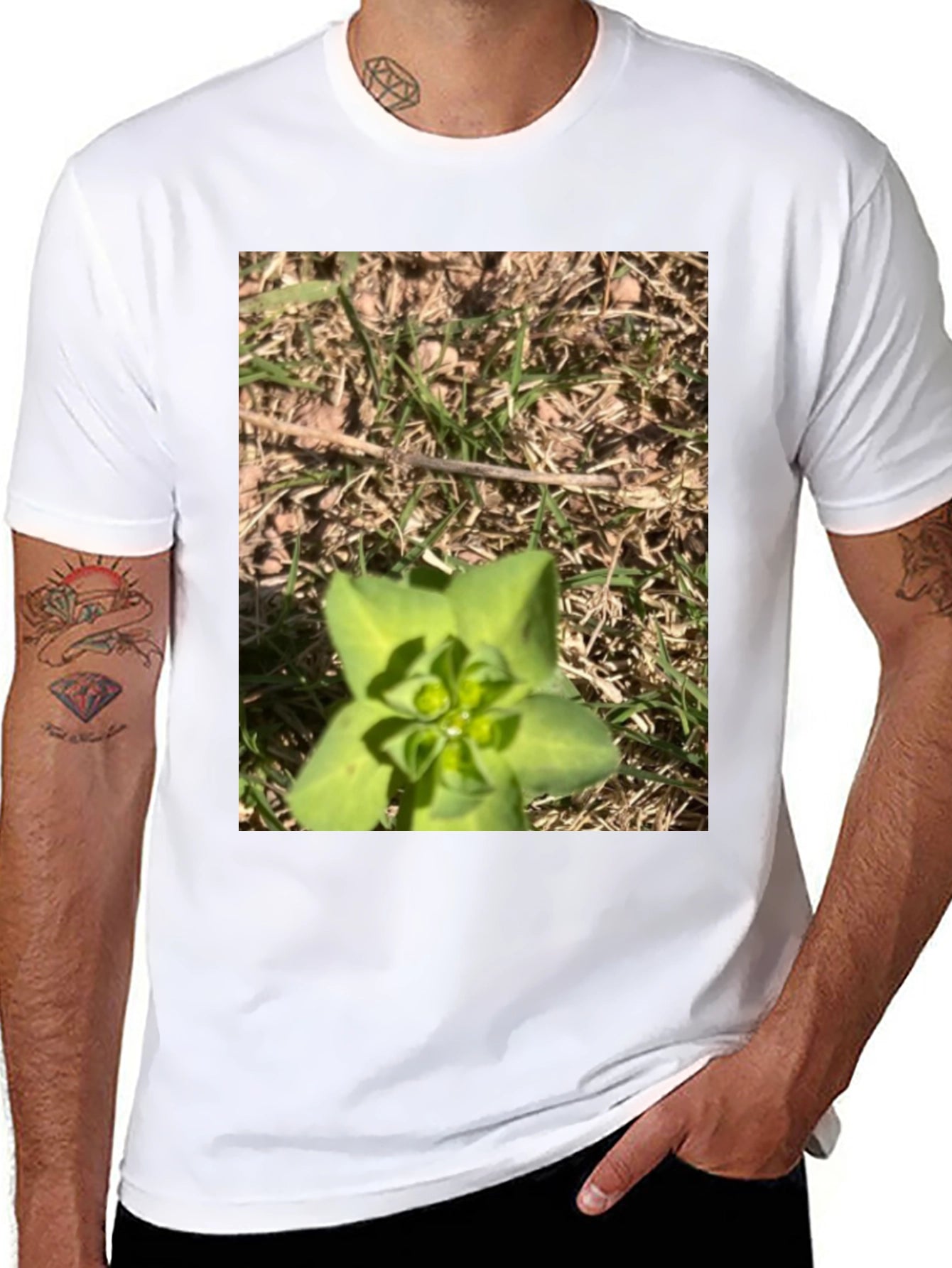 Nature-Inspired Graphic Tee