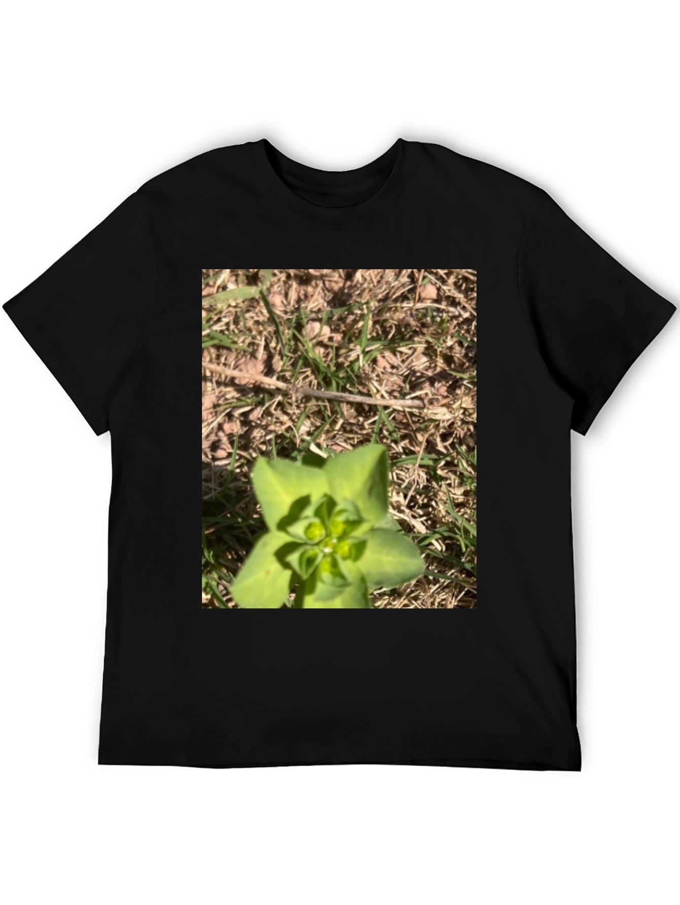 Nature-Inspired Graphic Tee