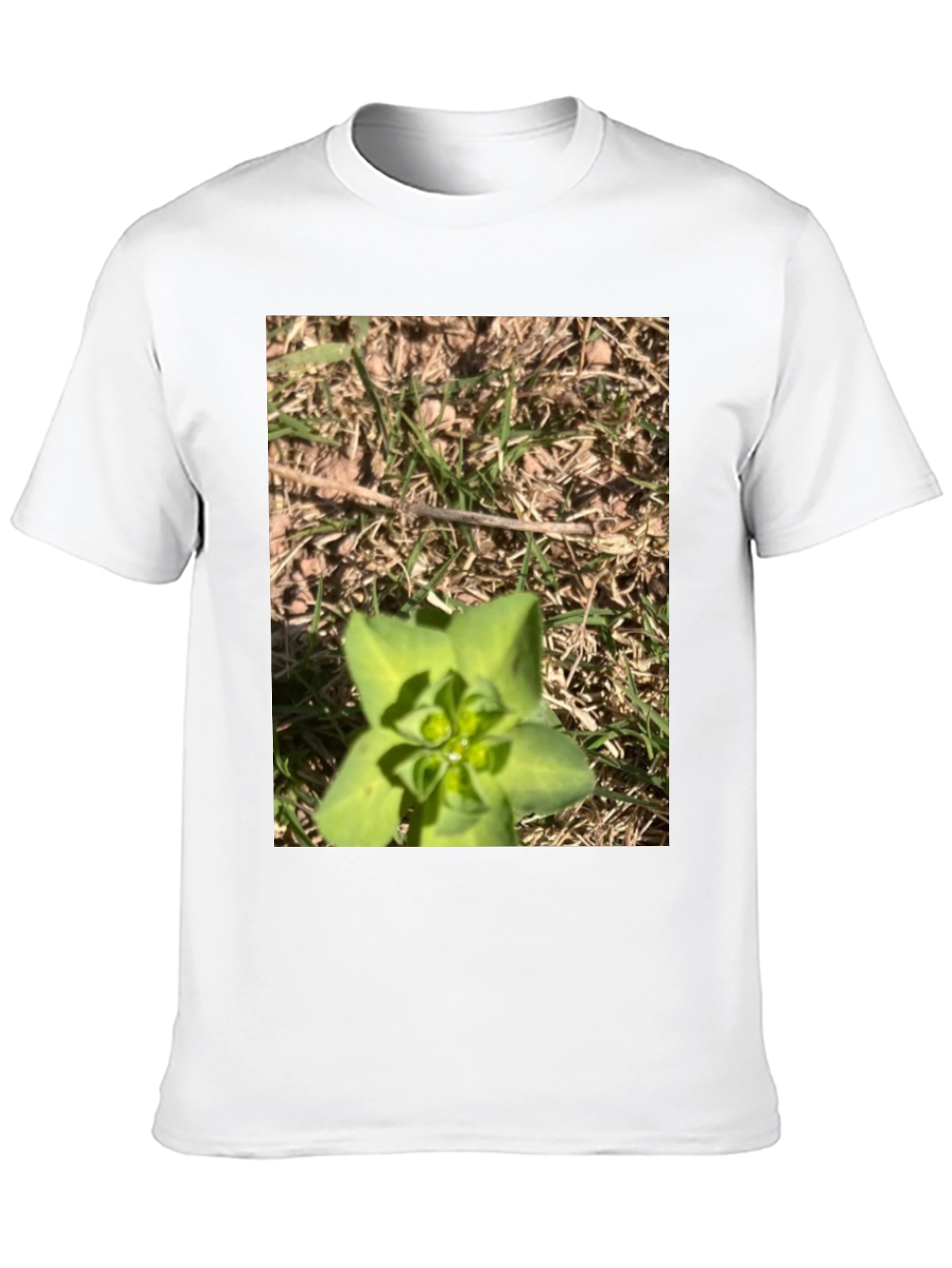 Nature-Inspired Graphic Tee