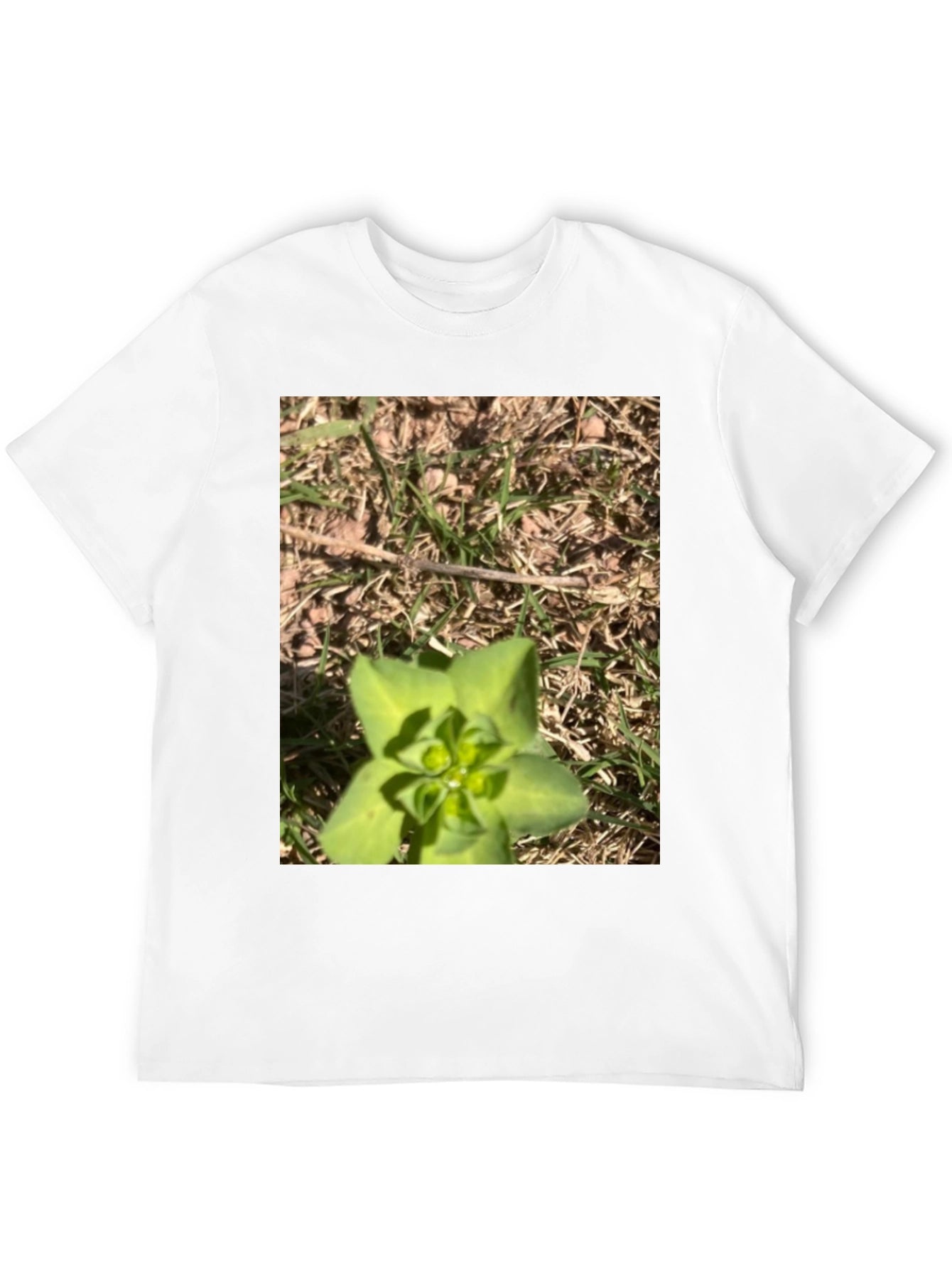 Nature-Inspired Graphic Tee