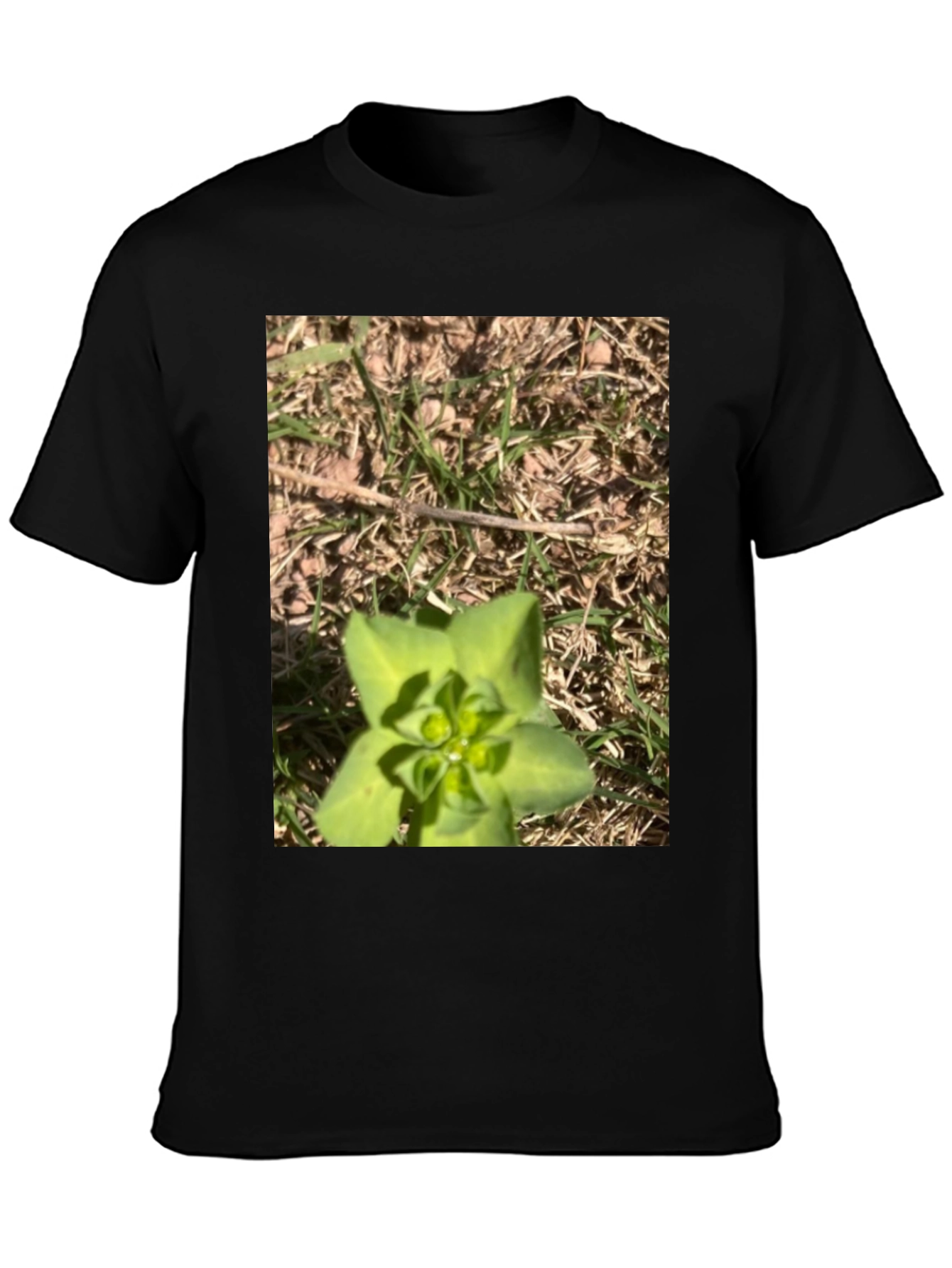 Nature-Inspired Graphic Tee