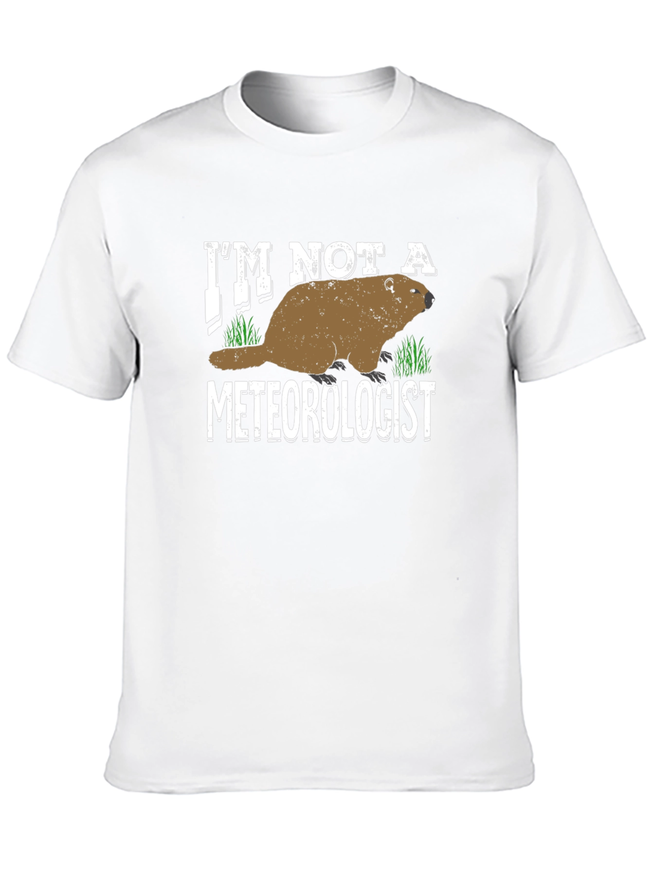 Im Not a Meteorologist T-Shirt