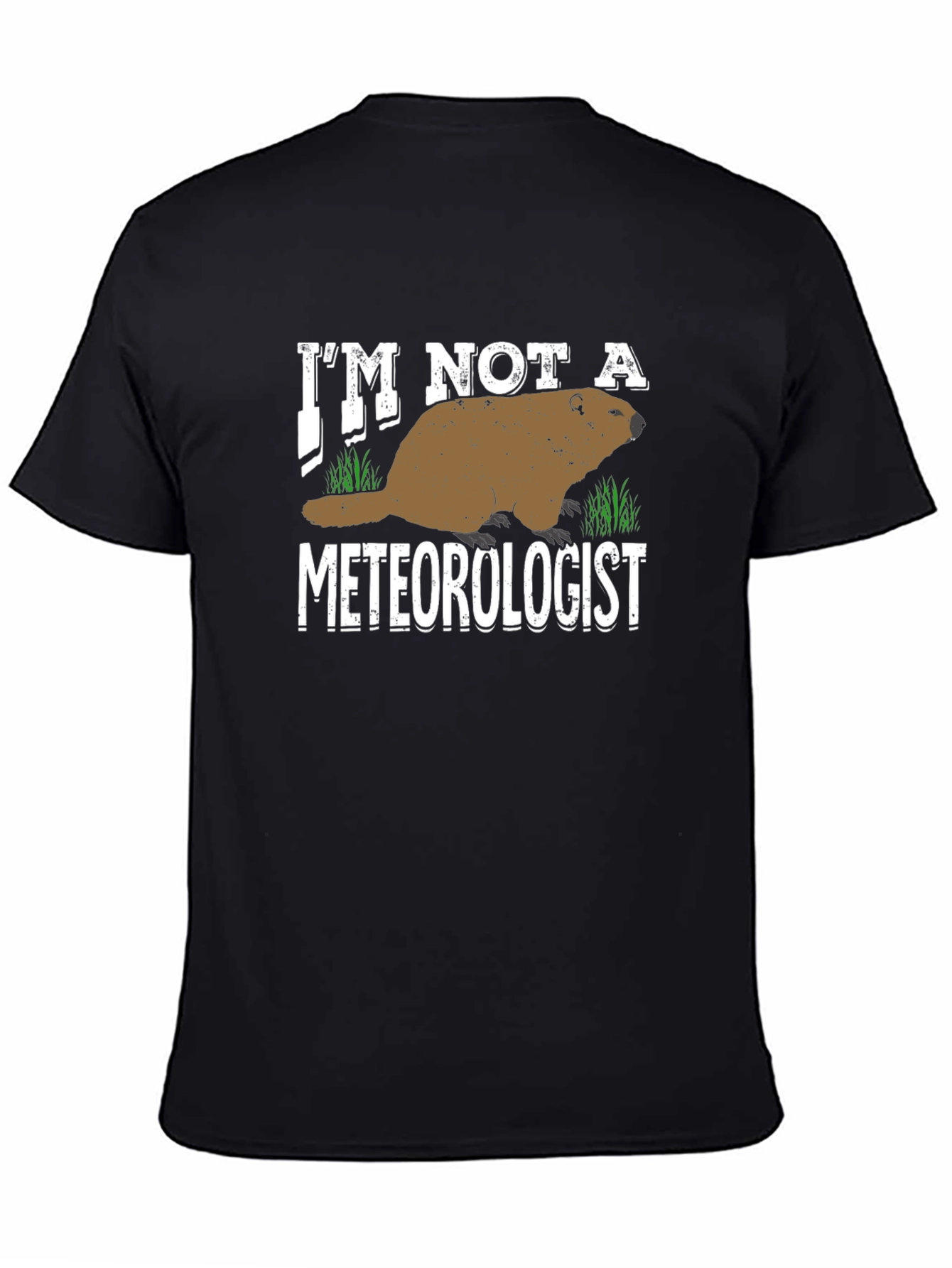 Im Not a Meteorologist T-Shirt
