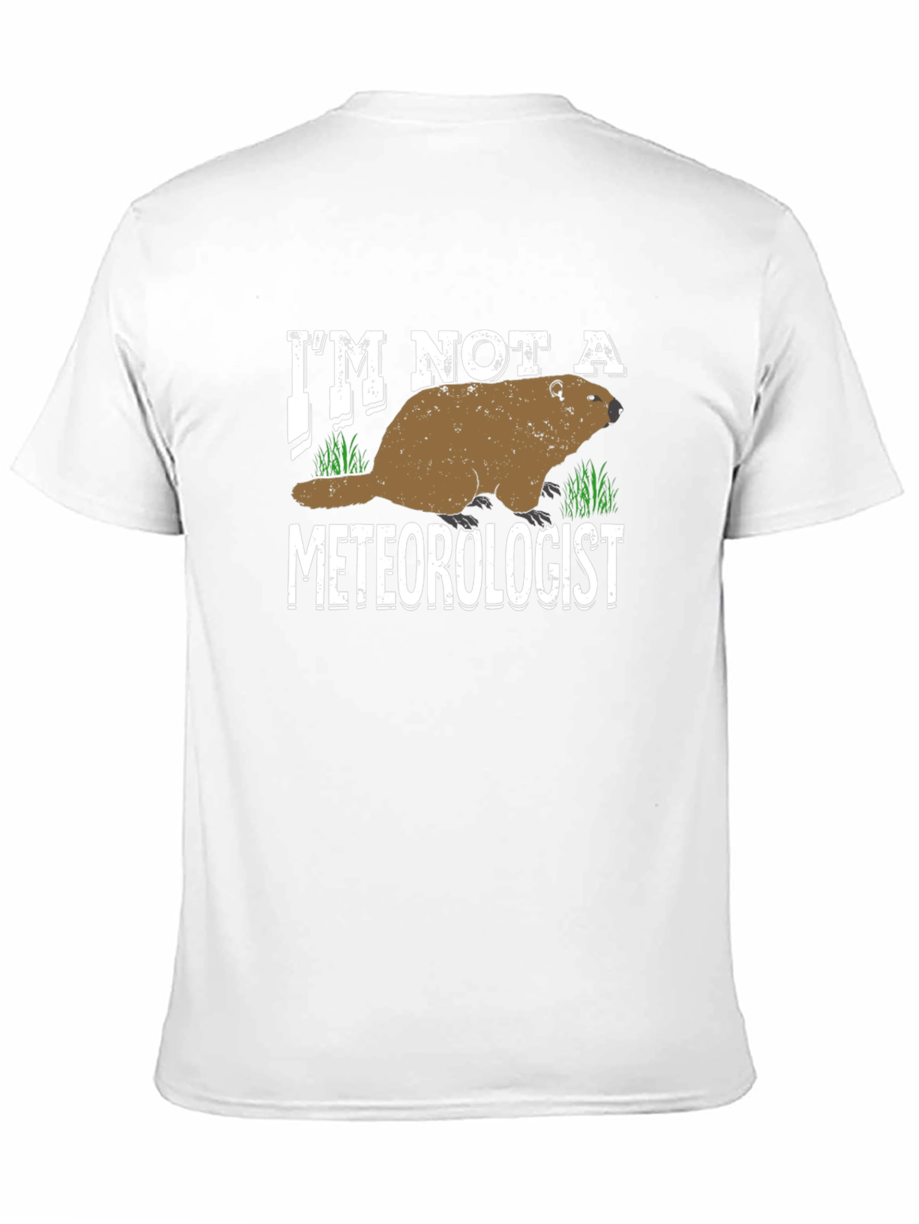 Im Not a Meteorologist T-Shirt