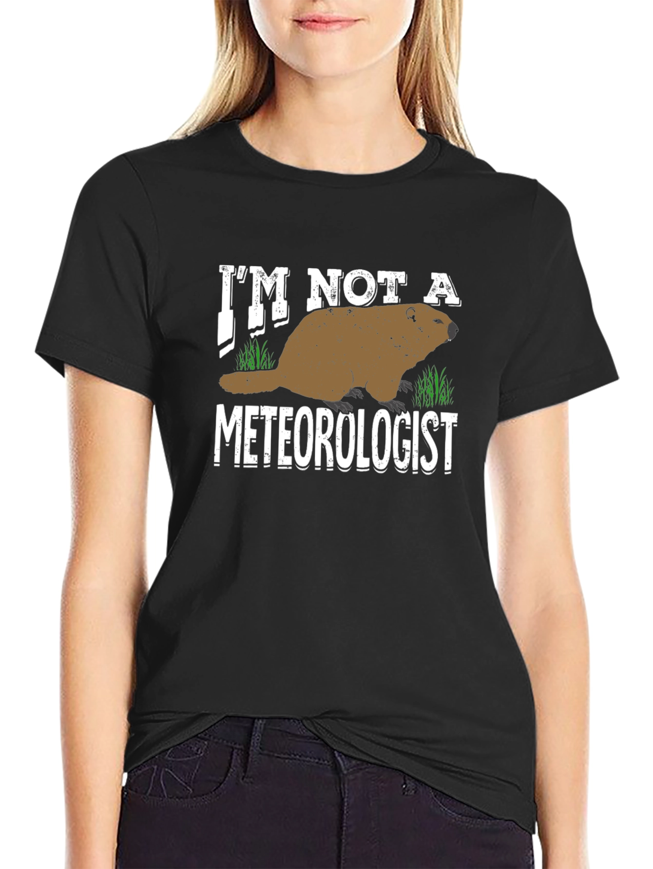 Im Not a Meteorologist T-Shirt