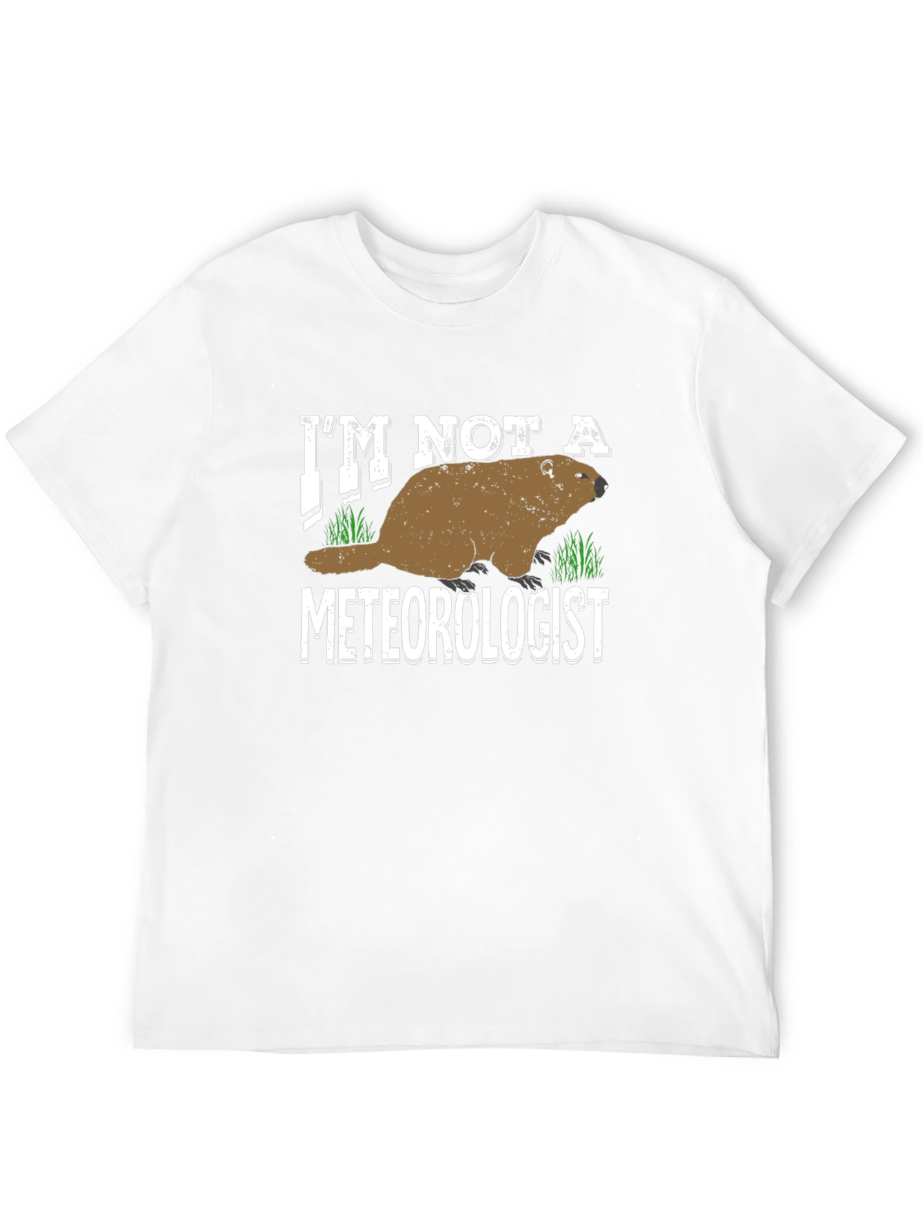 Im Not a Meteorologist T-Shirt