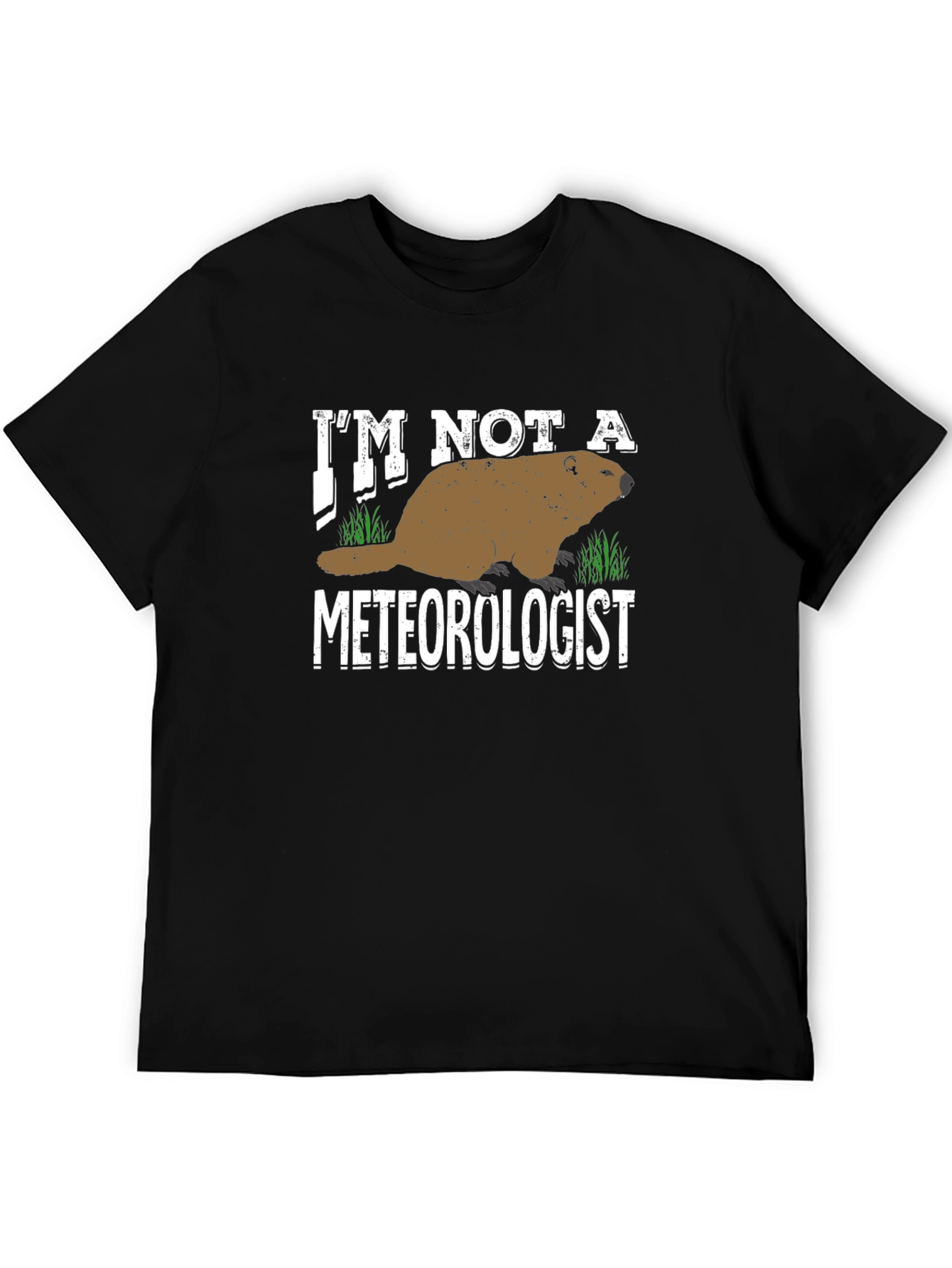 Im Not a Meteorologist T-Shirt