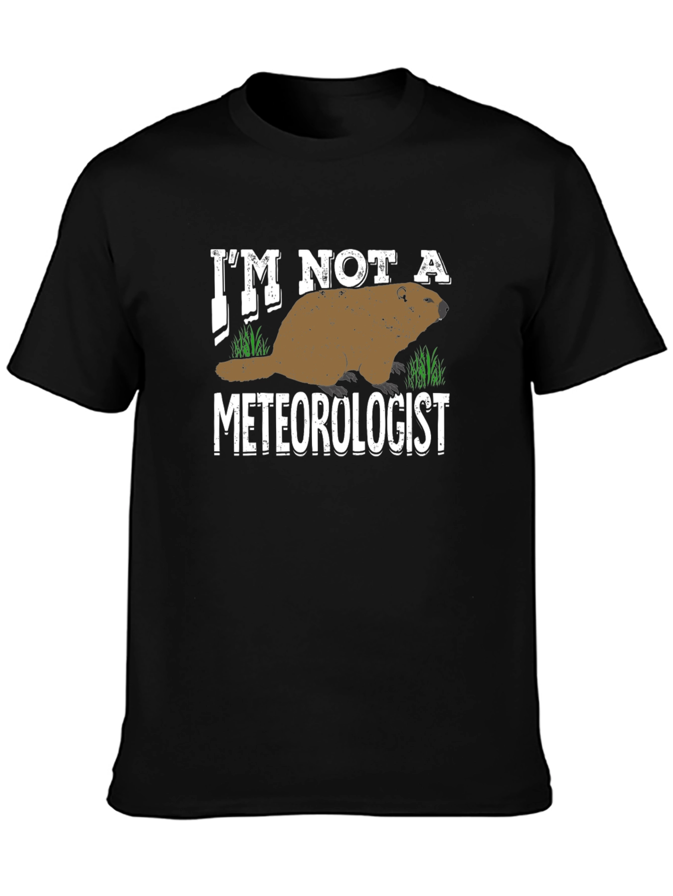 Im Not a Meteorologist T-Shirt