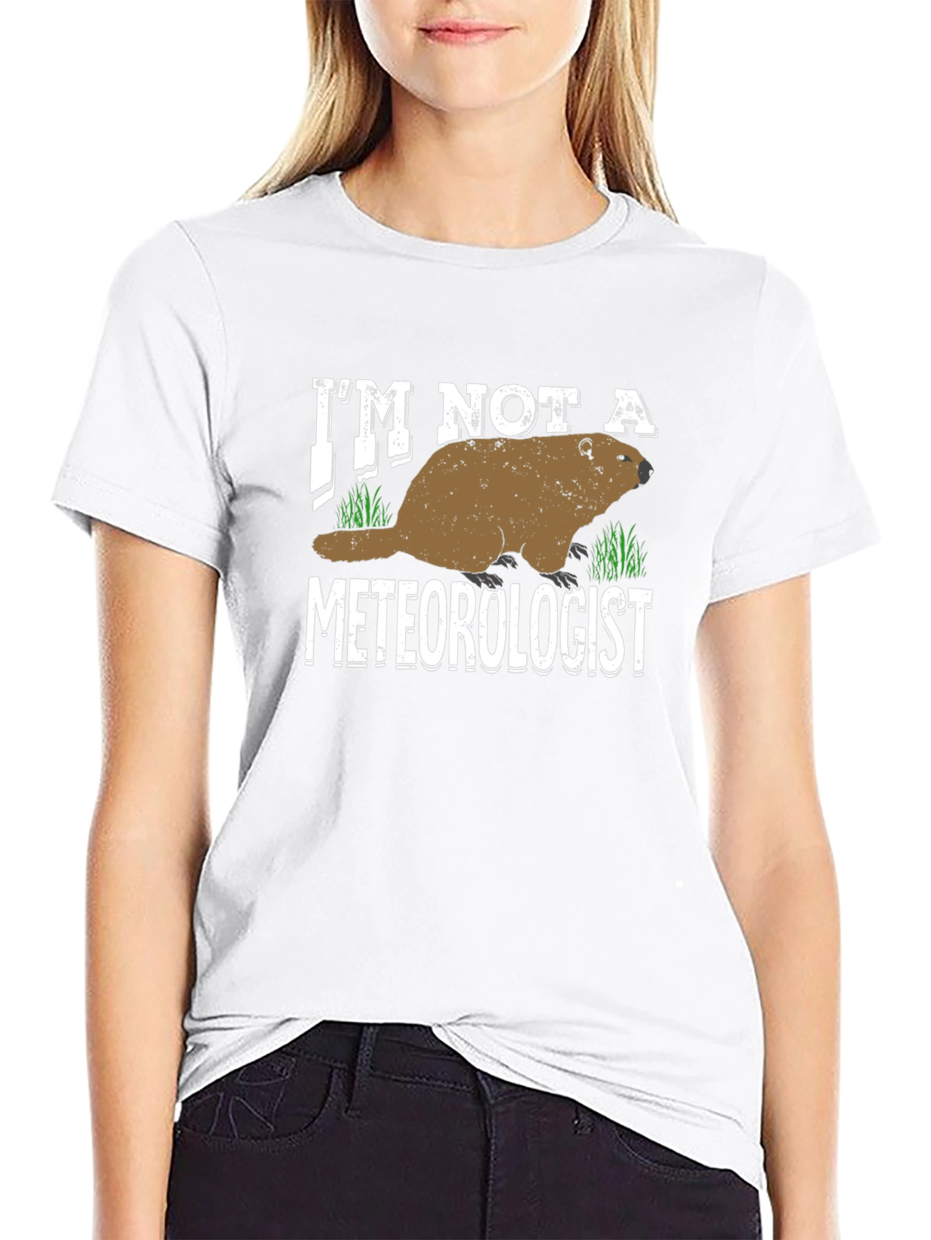 Im Not a Meteorologist T-Shirt