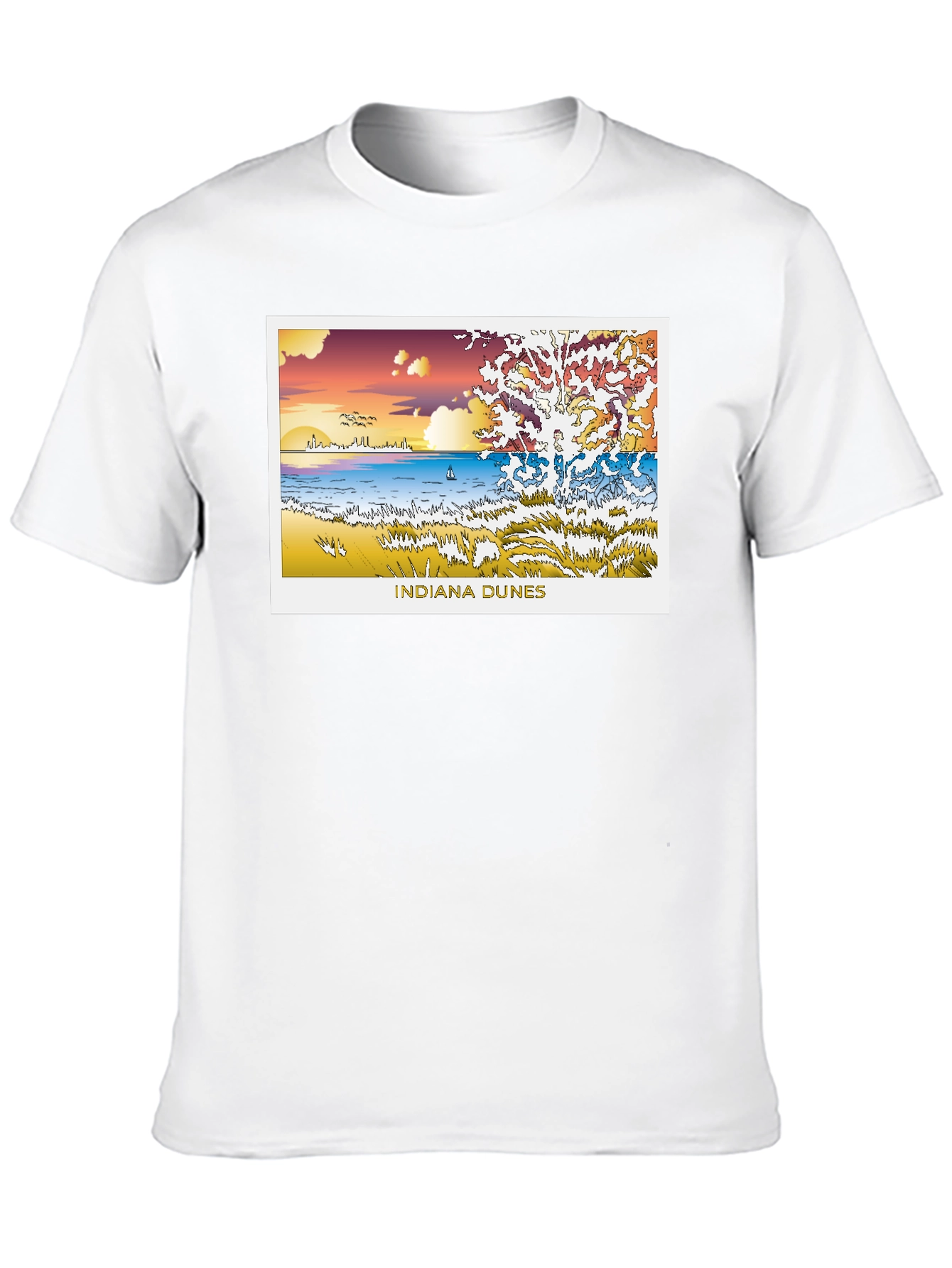 Indiana Dunes Graphic Black Tee