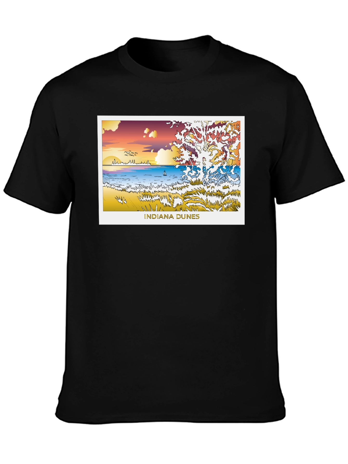 Indiana Dunes Graphic Black Tee