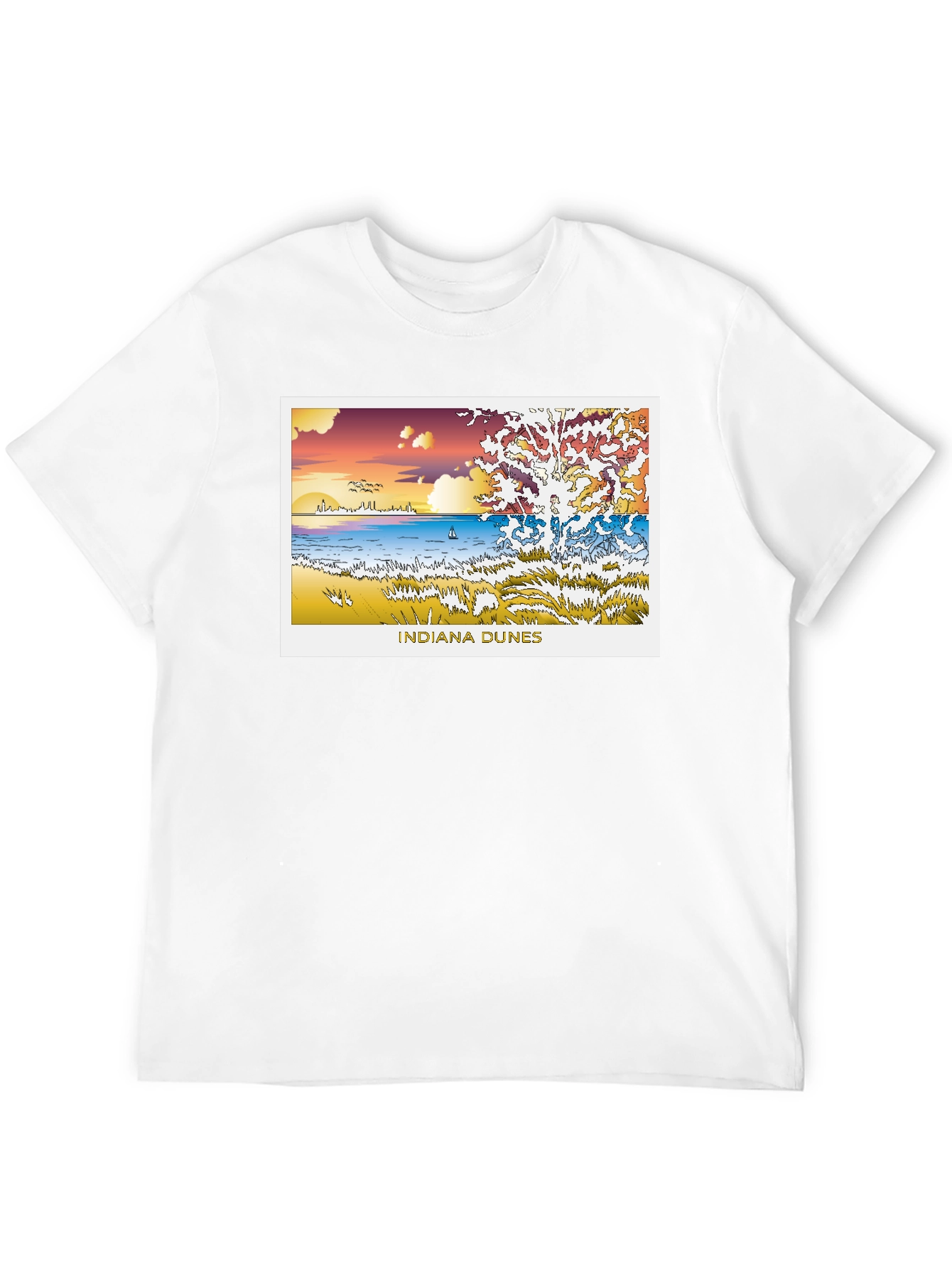 Indiana Dunes Graphic Black Tee