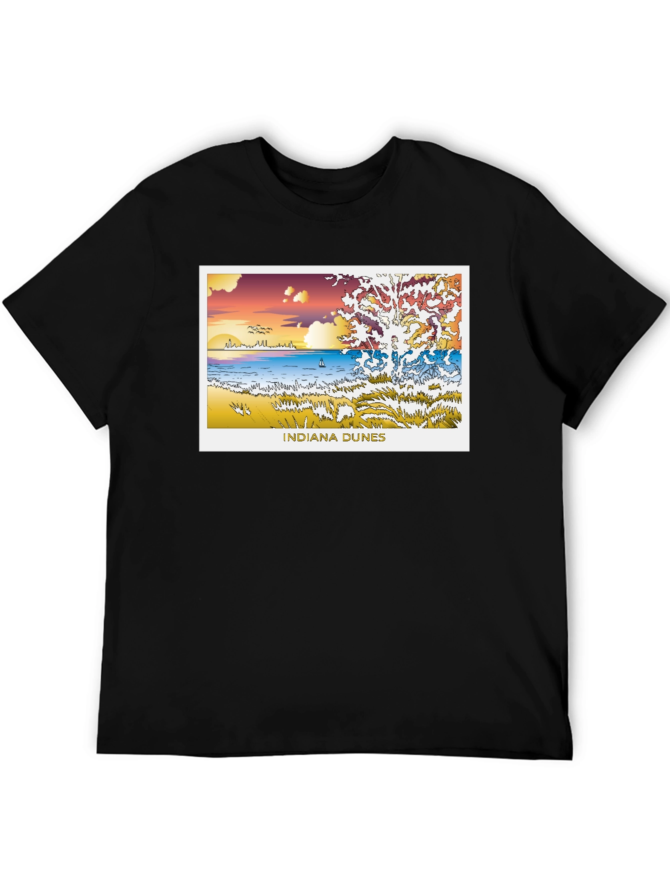Indiana Dunes Graphic Black Tee