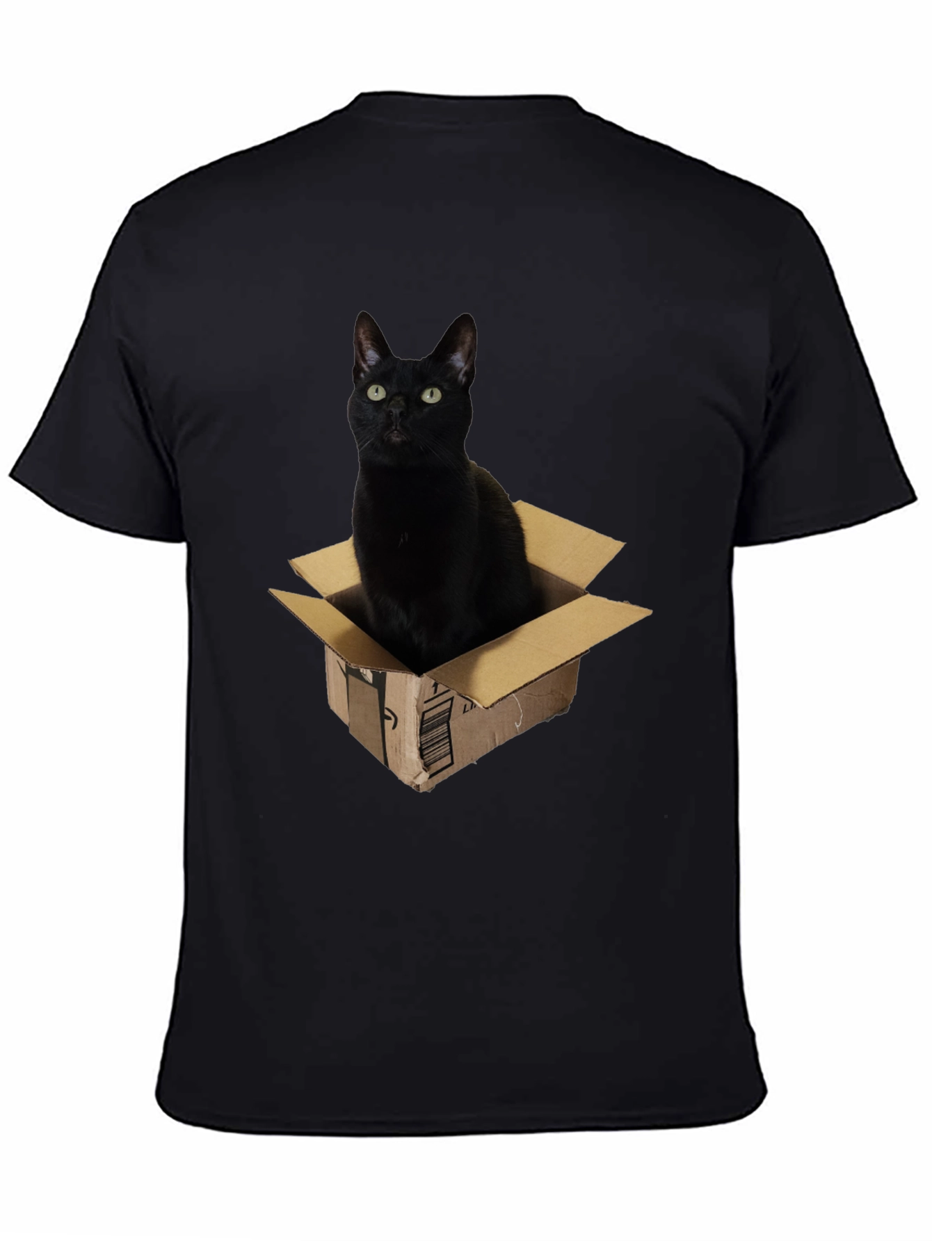 Black Cat in Box Graphic T-Shirt
