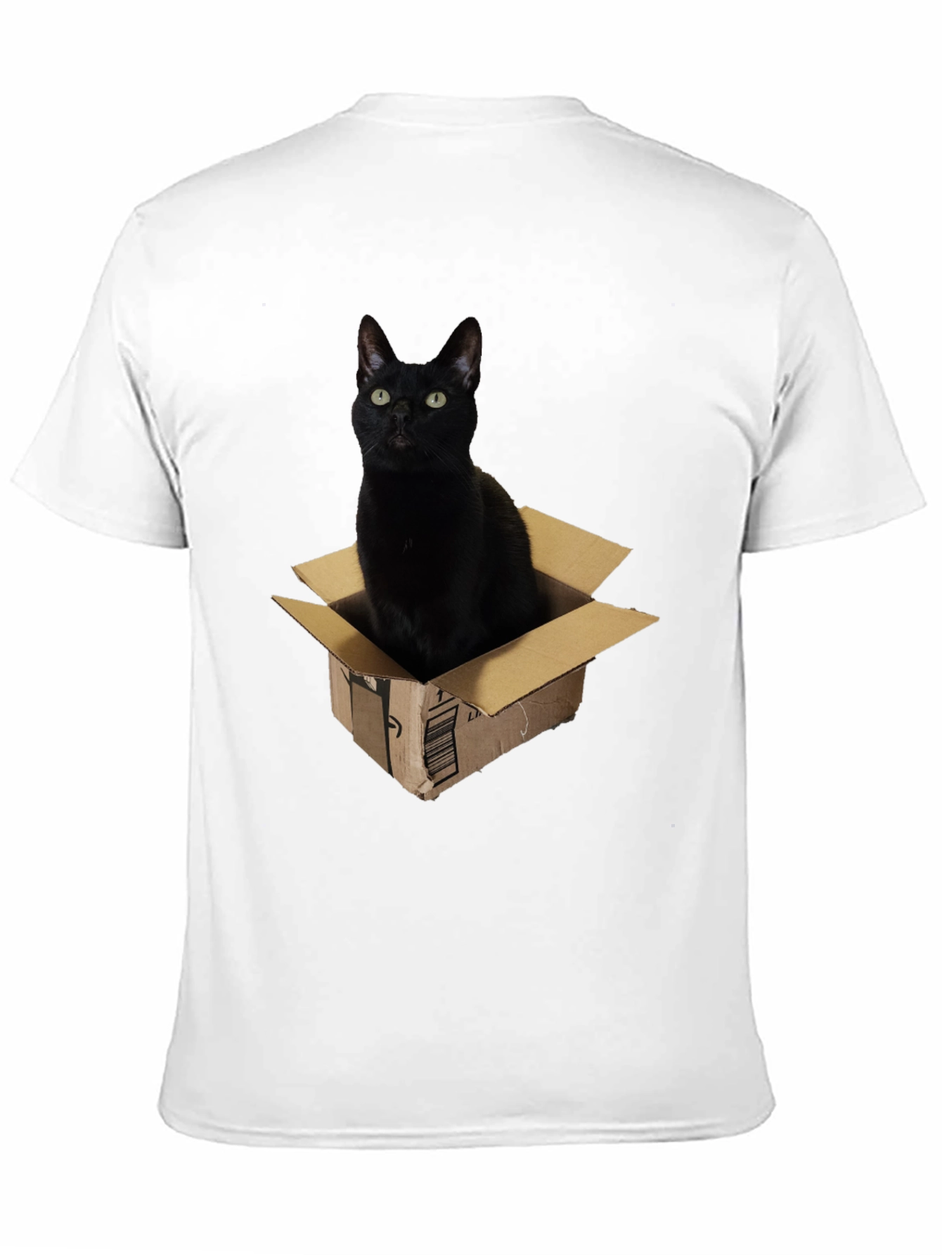 Black Cat in Box Graphic T-Shirt