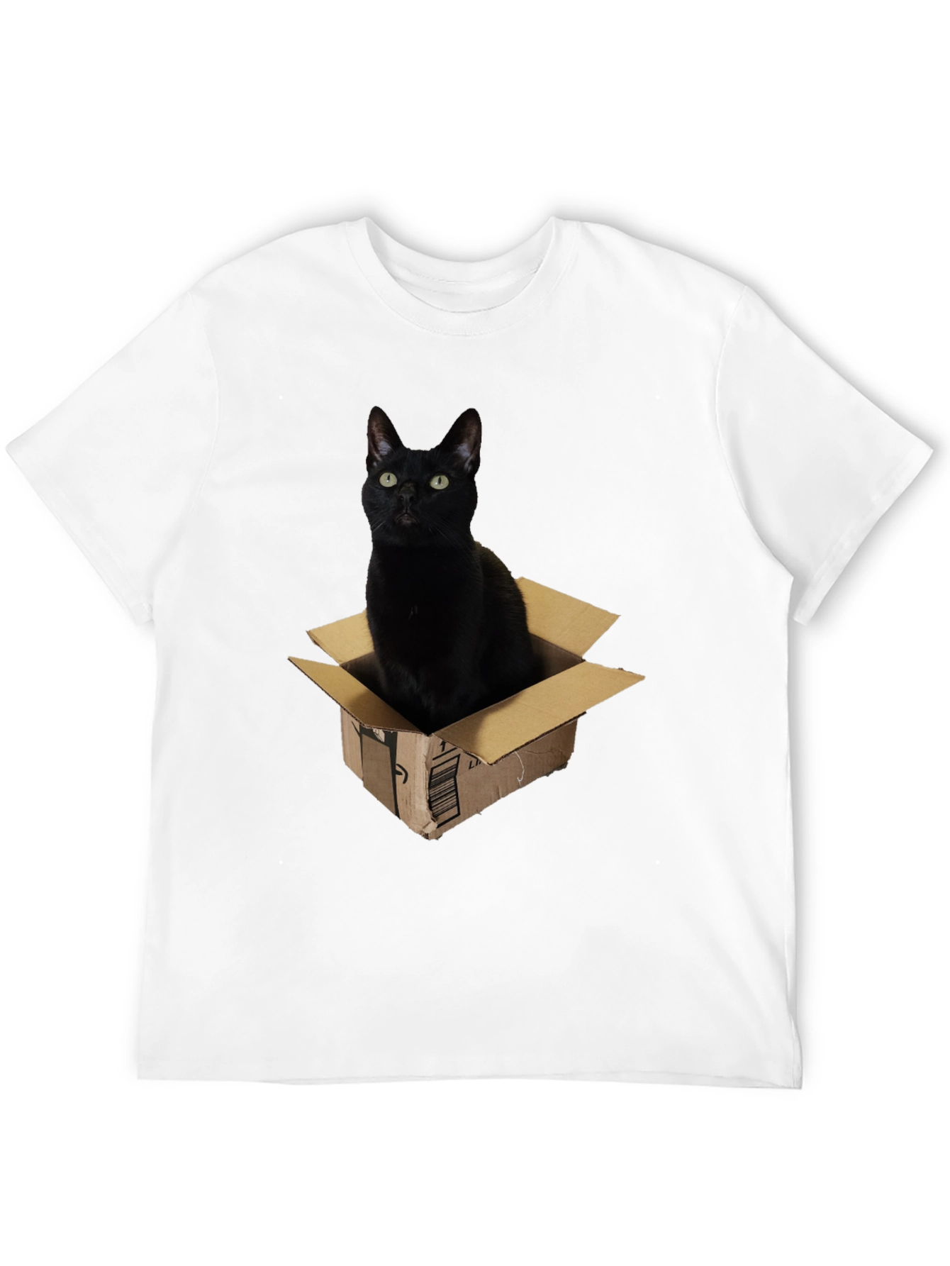 Black Cat in Box Graphic T-Shirt