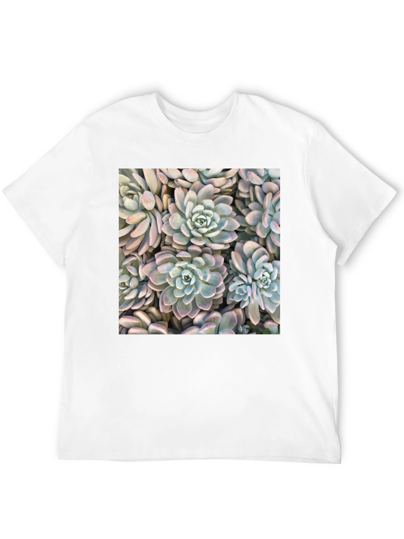 Succulent Print Black T-Shirt