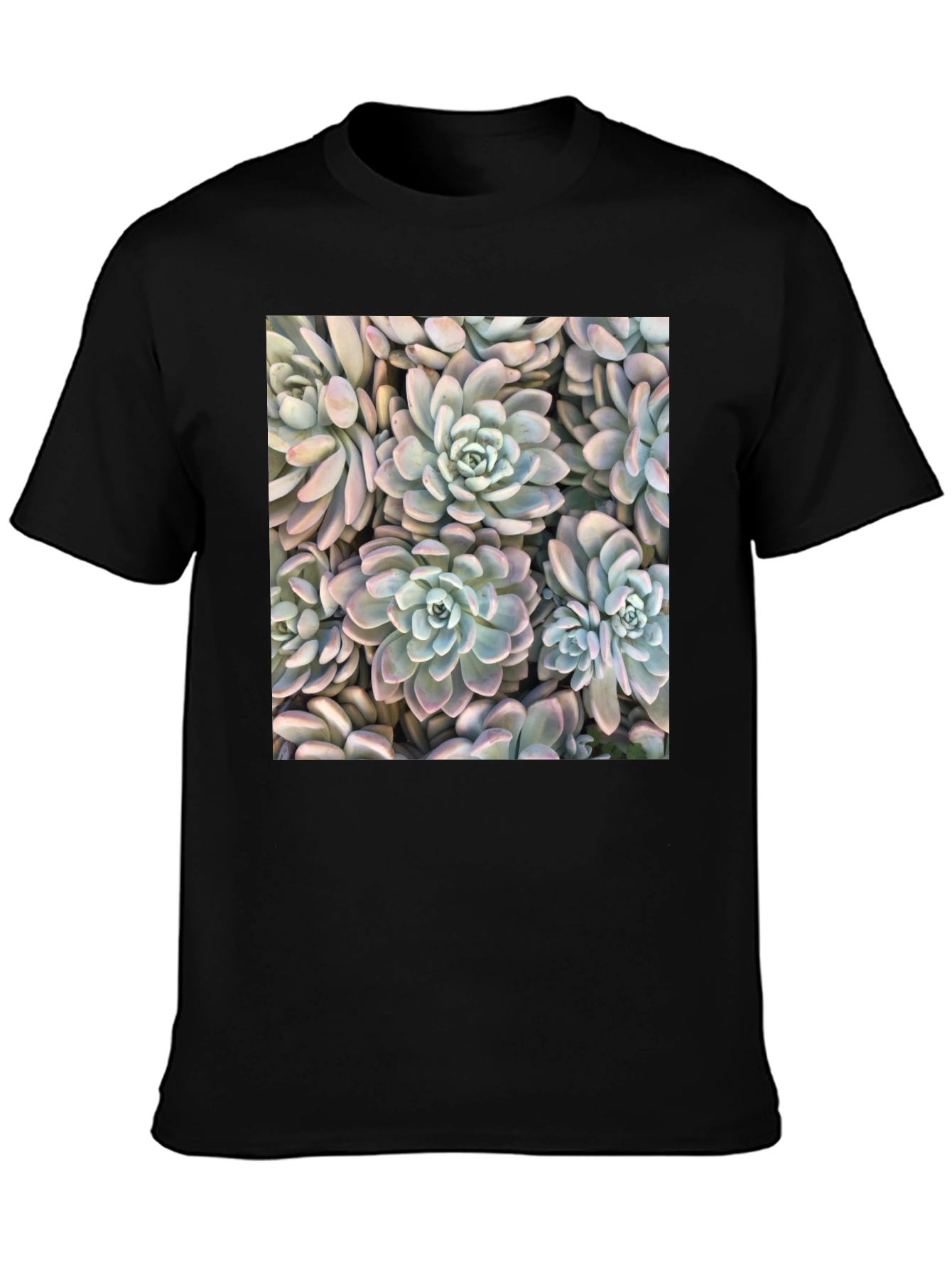 Succulent Print Black T-Shirt