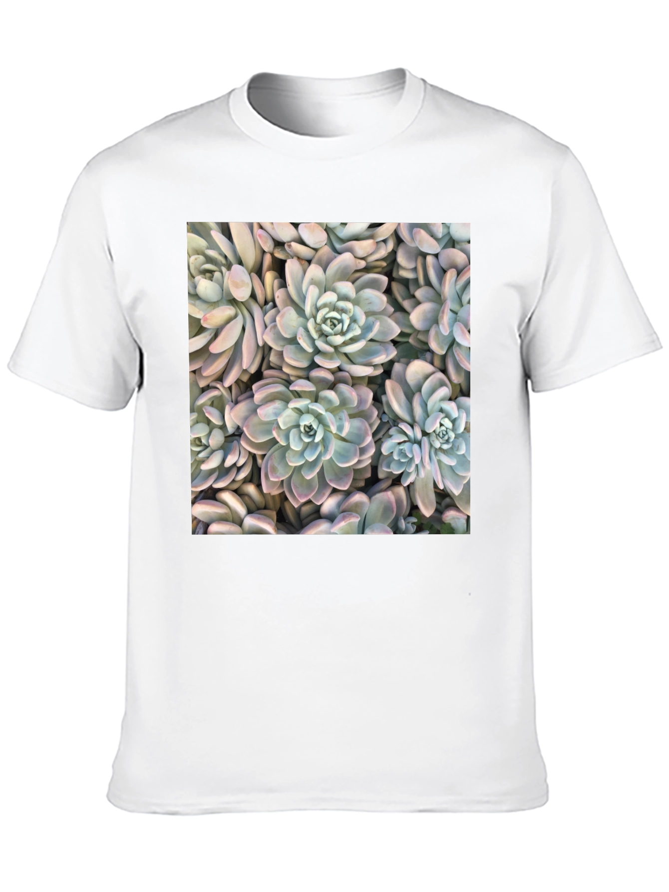 Succulent Print Black T-Shirt