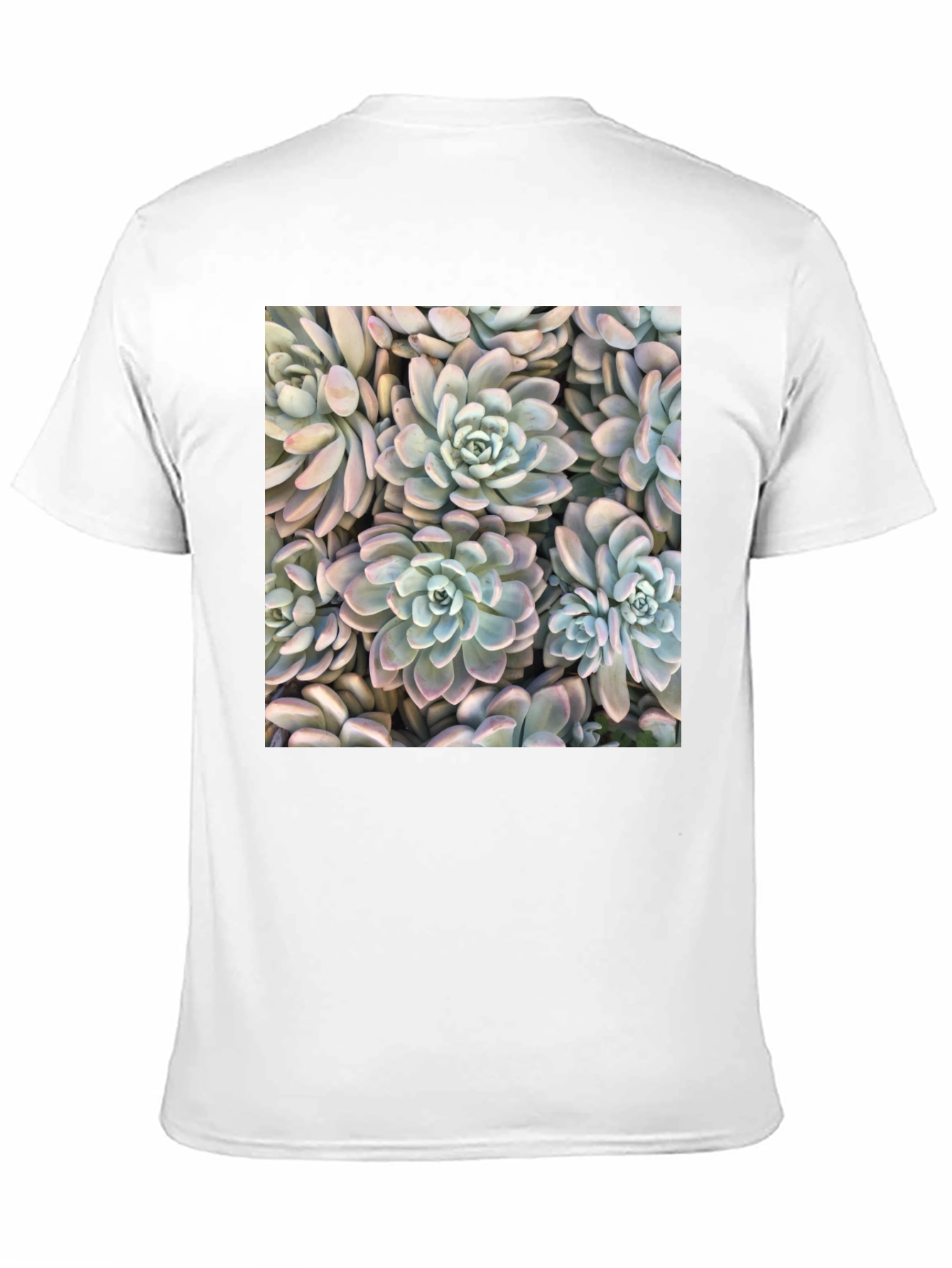 Succulent Print Black T-Shirt