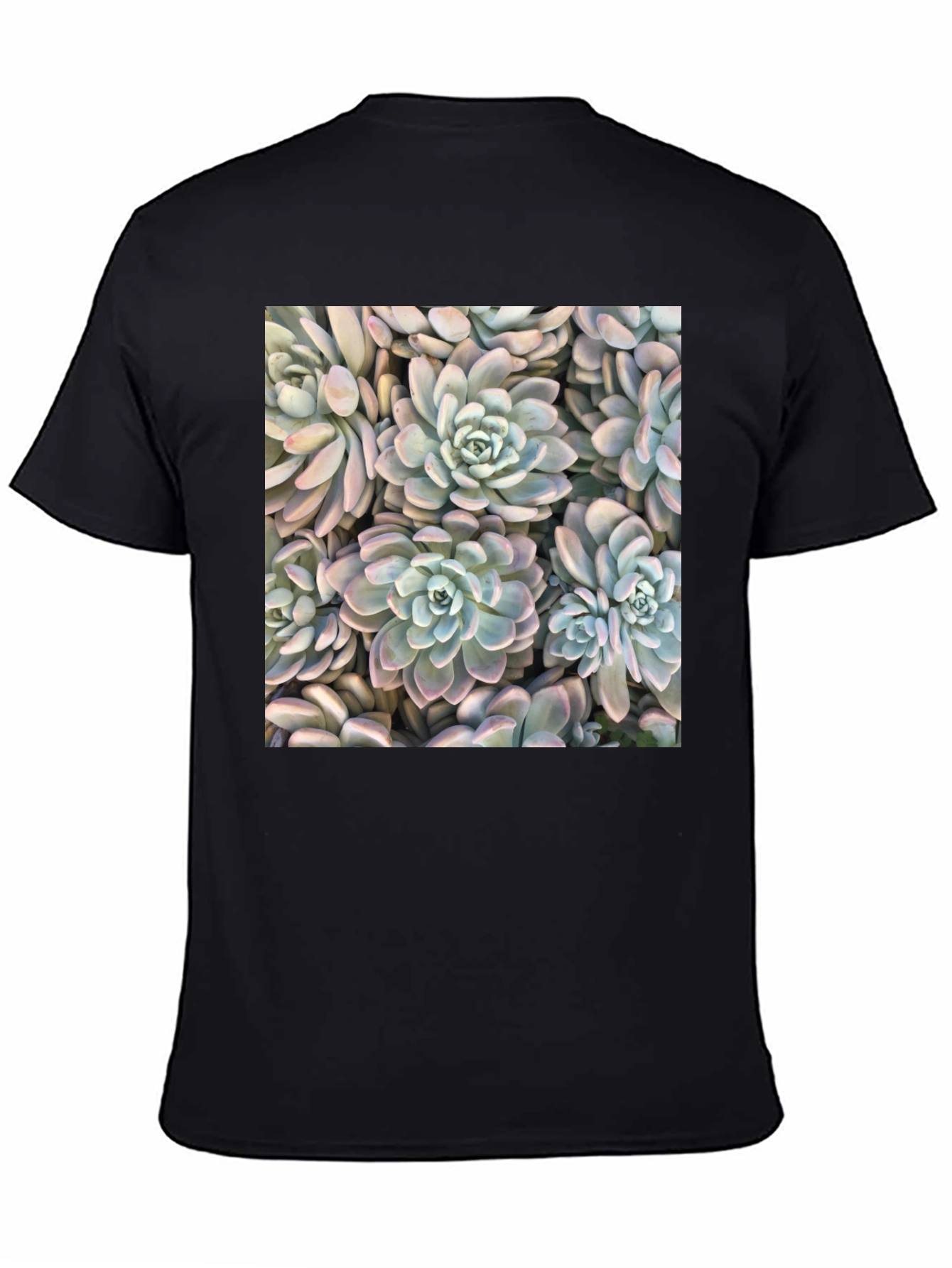 Succulent Print Black T-Shirt