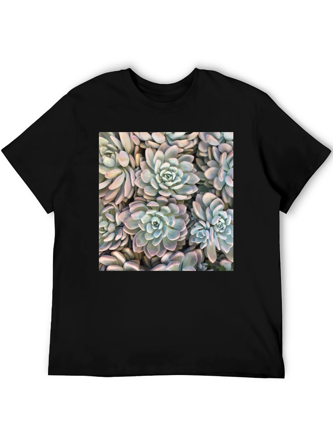 Succulent Print Black T-Shirt