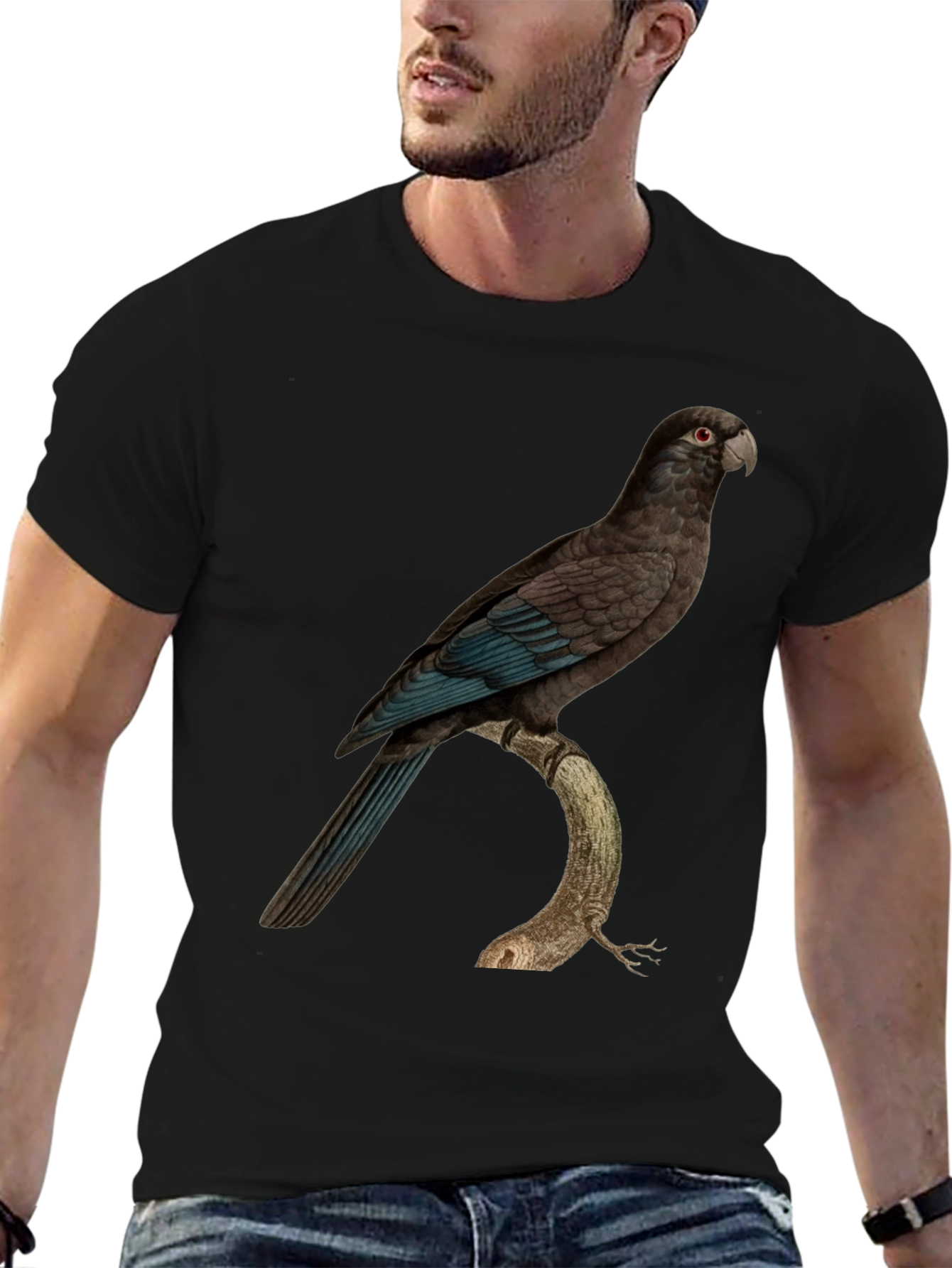 Parrot Graphic Print Black T-Shirt