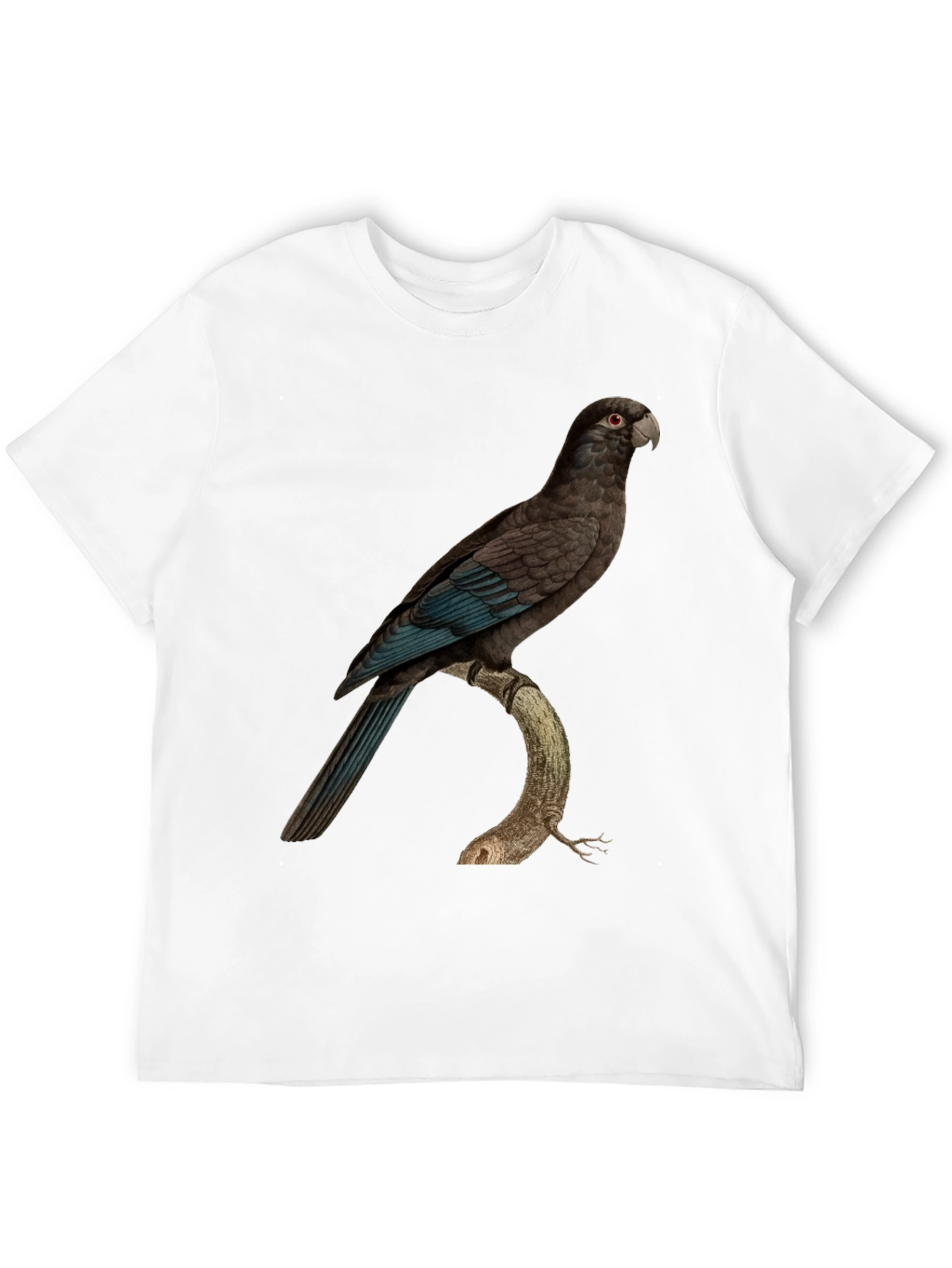 Parrot Graphic Print Black T-Shirt