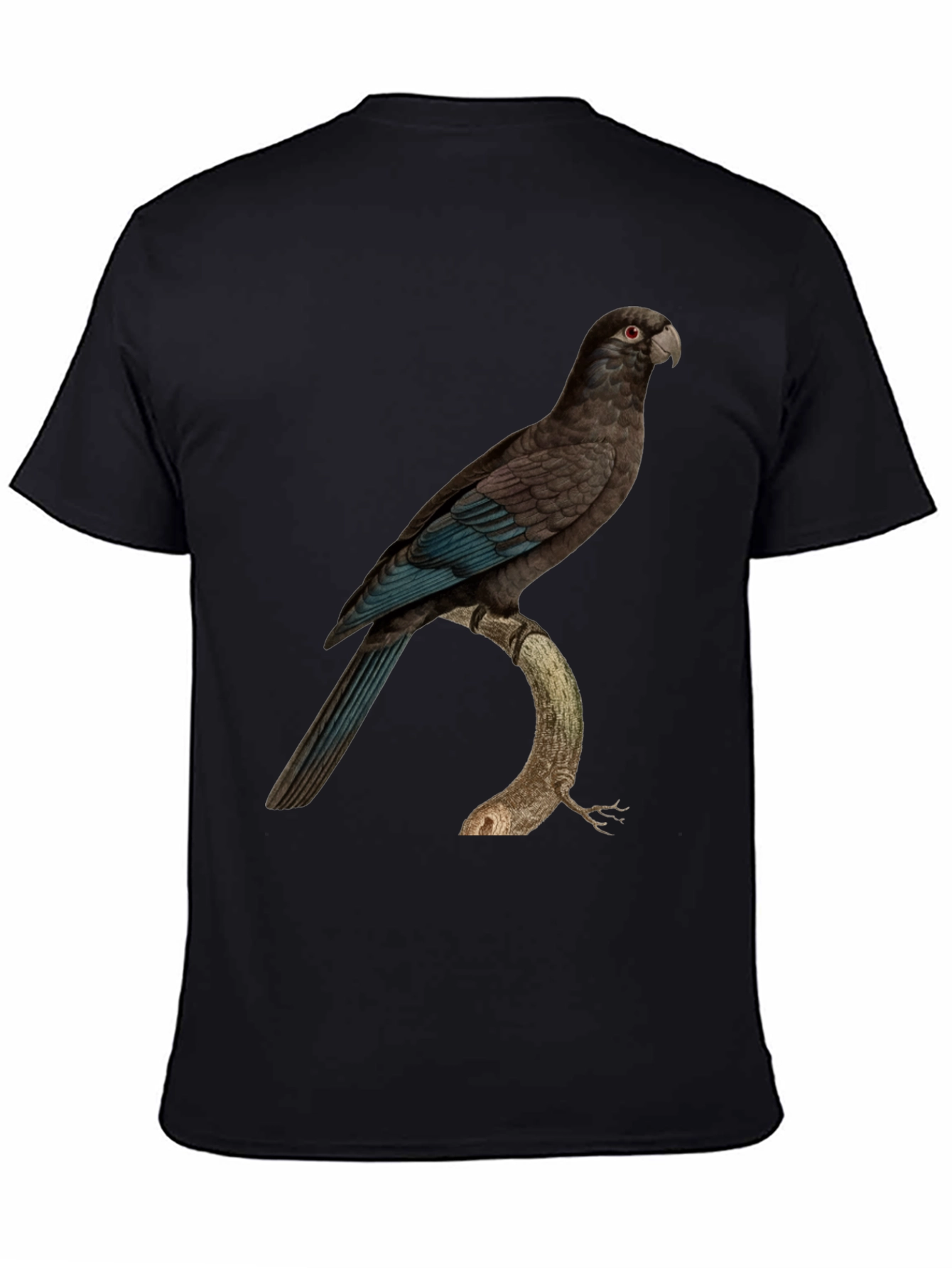 Parrot Graphic Print Black T-Shirt