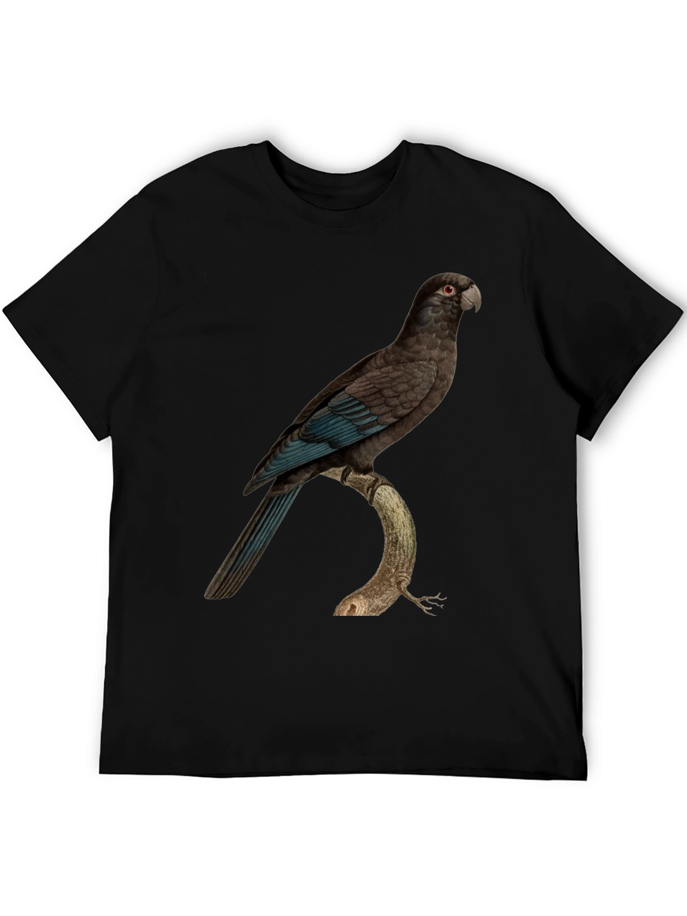 Parrot Graphic Print Black T-Shirt