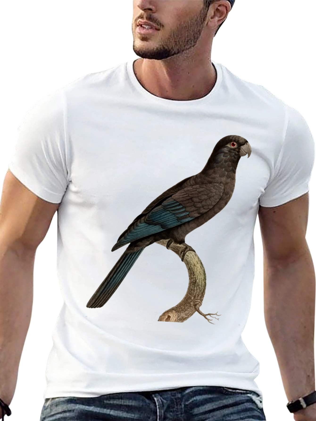 Parrot Graphic Print Black T-Shirt
