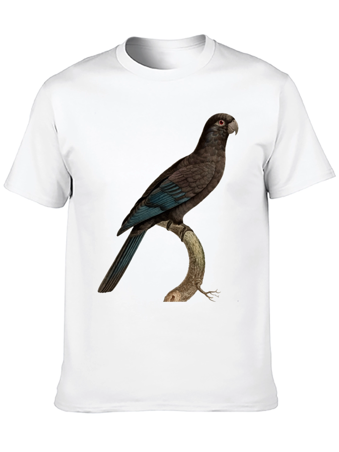 Parrot Graphic Print Black T-Shirt