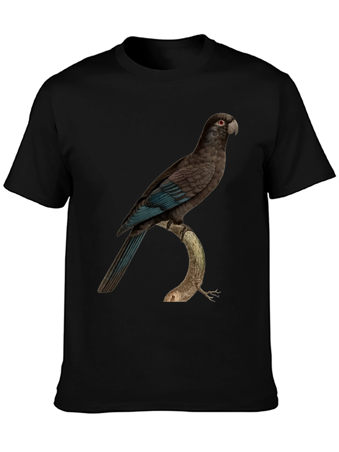 Parrot Graphic Print Black T-Shirt