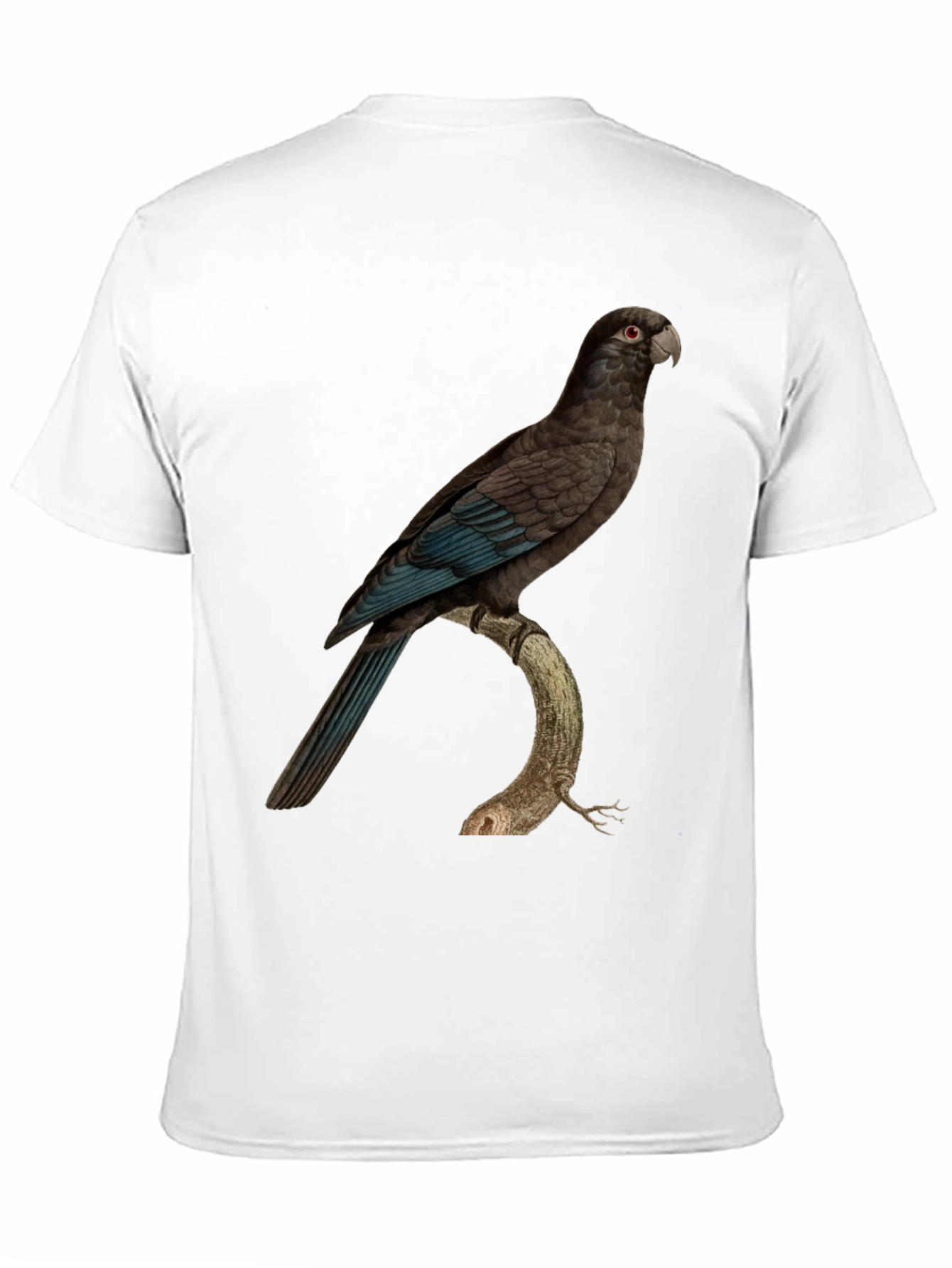 Parrot Graphic Print Black T-Shirt